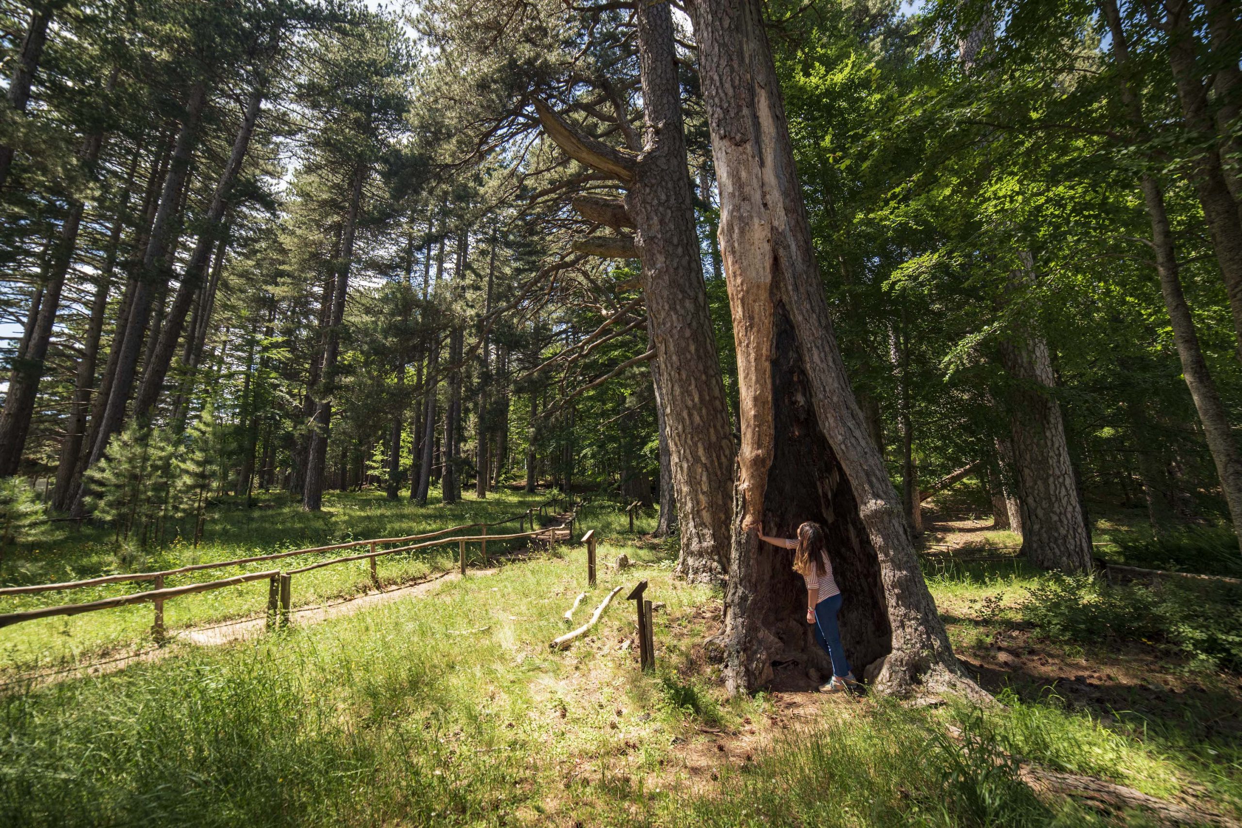 I Giganti di Fallistro: storia e cultura in una riserva di natura