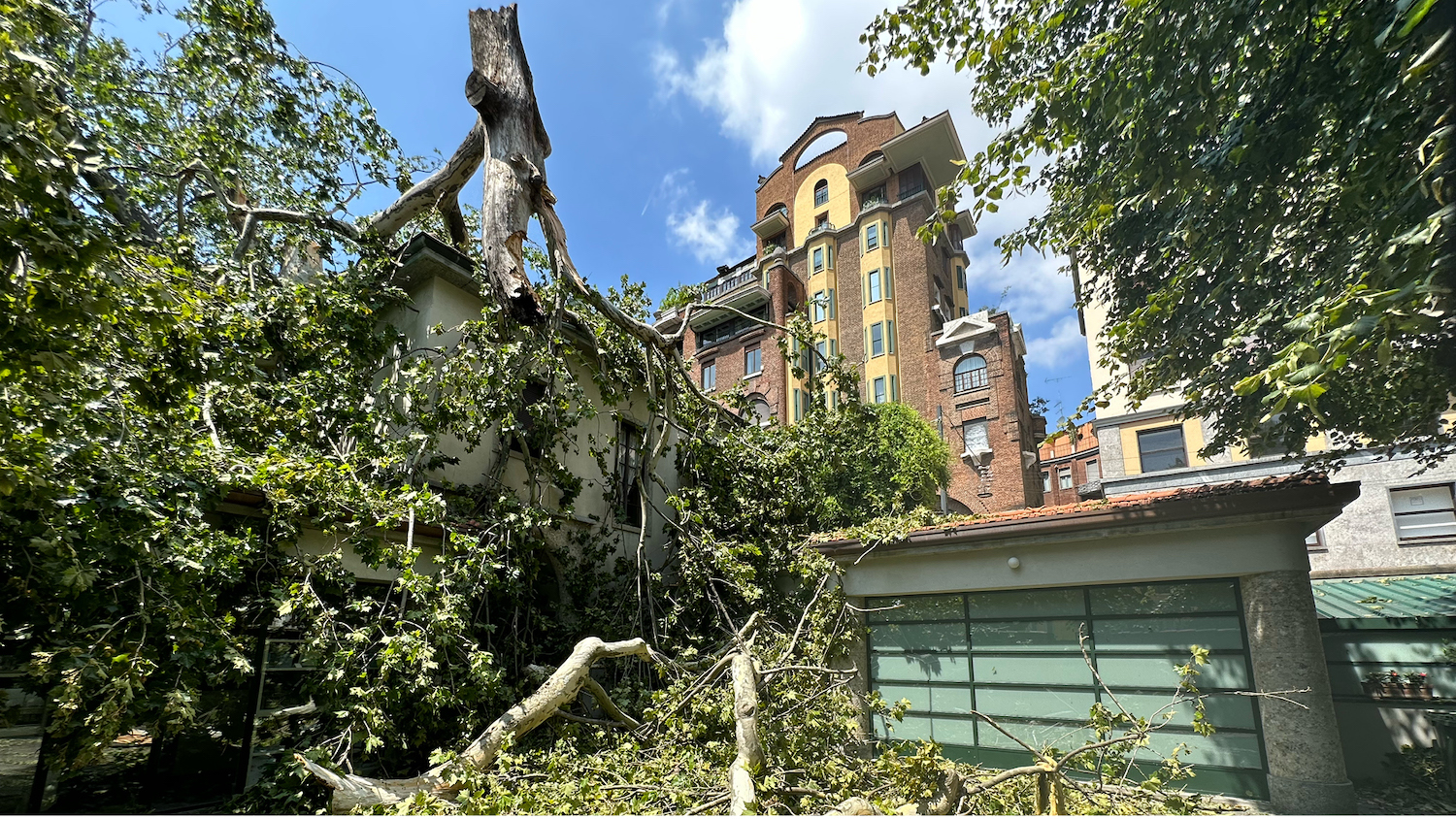 La nostra spada di legno