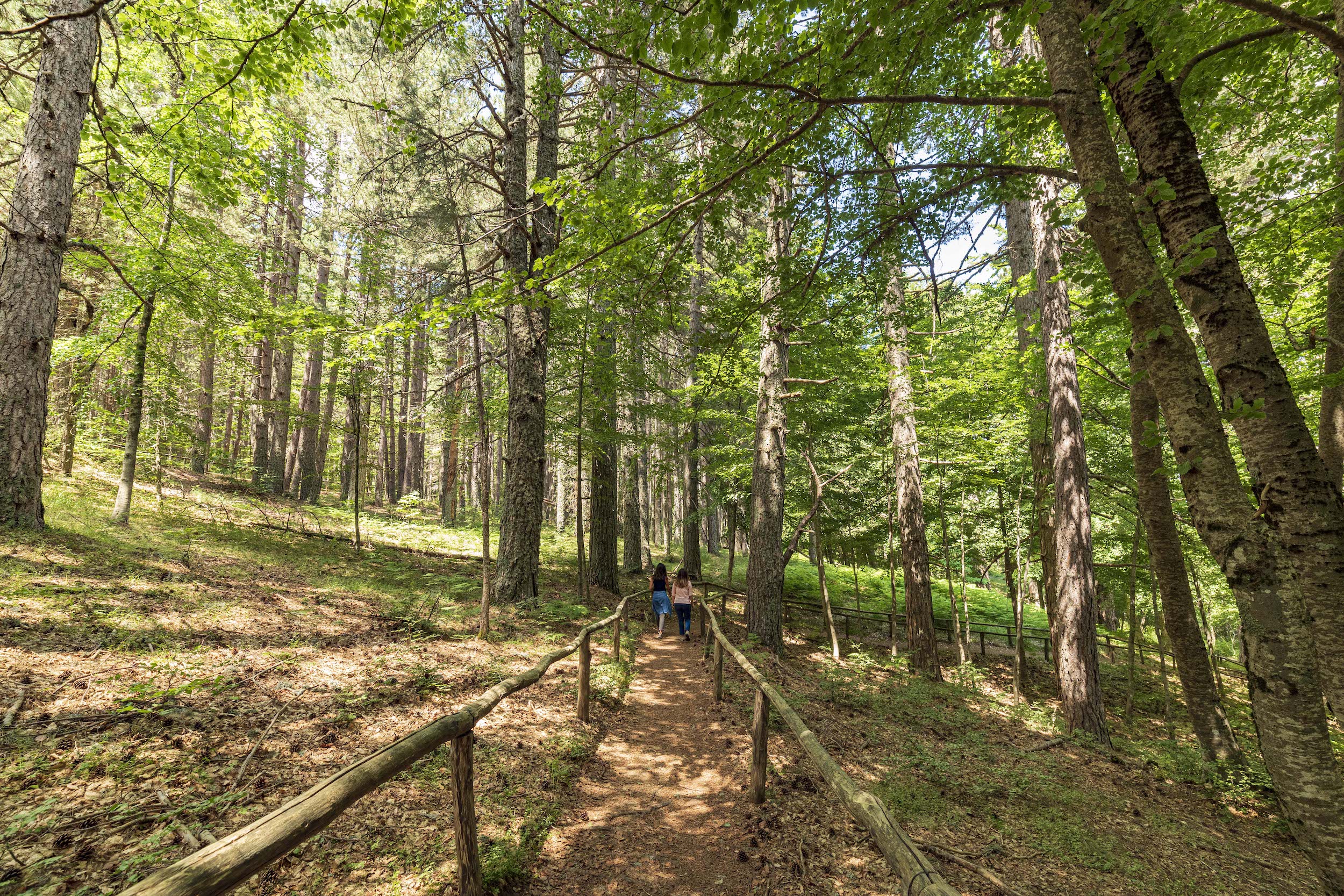 La biodiversità del Parco Nazionale della Sila in Calabria