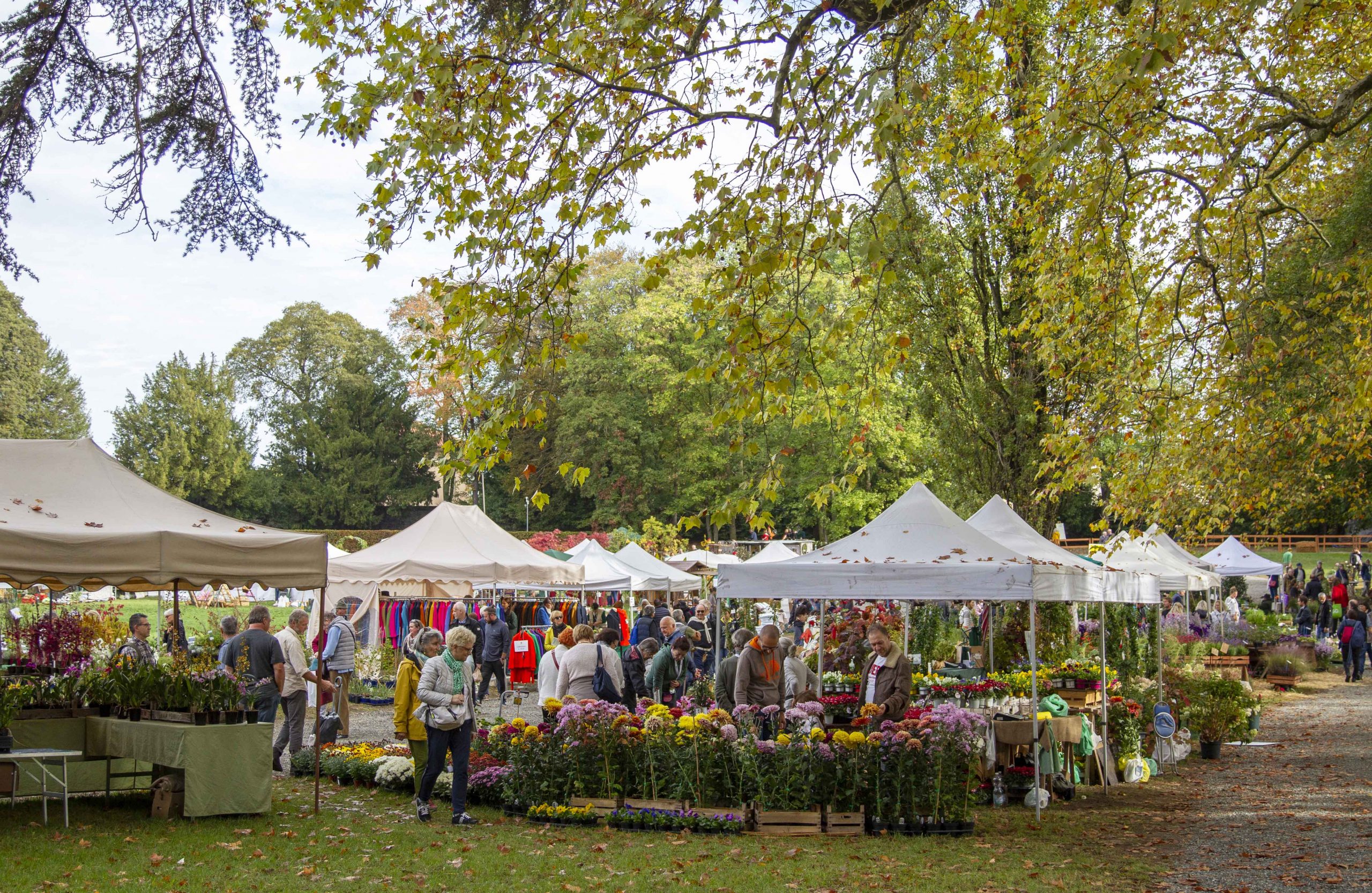 Tre Giorni per il Giardino: “L’albero, un mondo fra cielo e terra”