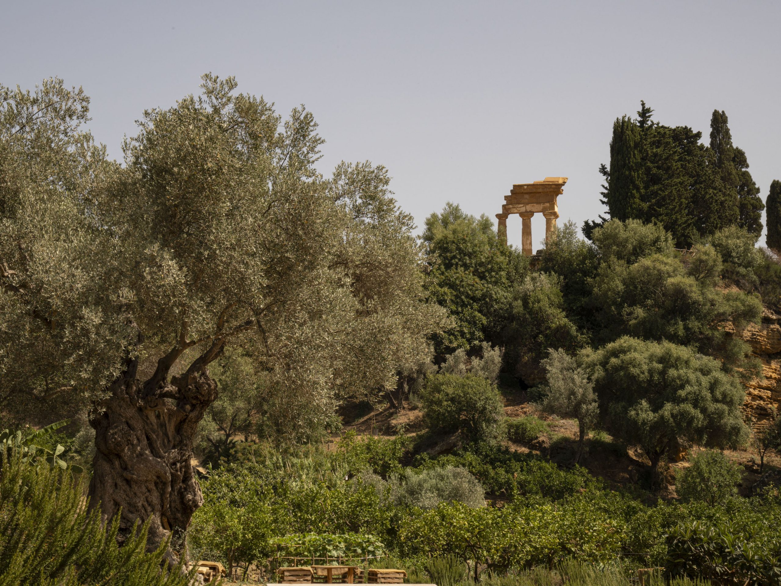 Averna sostiene la manutenzione del Giardino della Kolymbethra