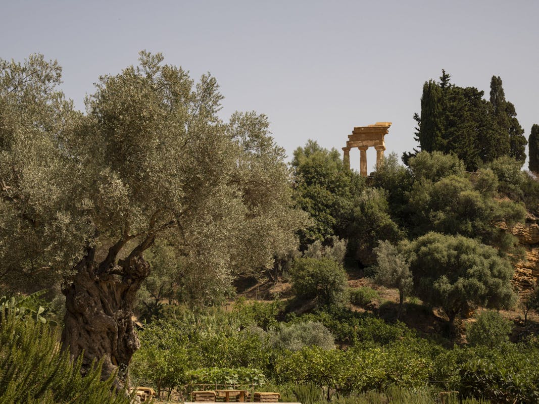 Averna sostiene la manutenzione del Giardino della Kolymbethra Averna sostiene la manutenzione del Giardino della Kolymbethra