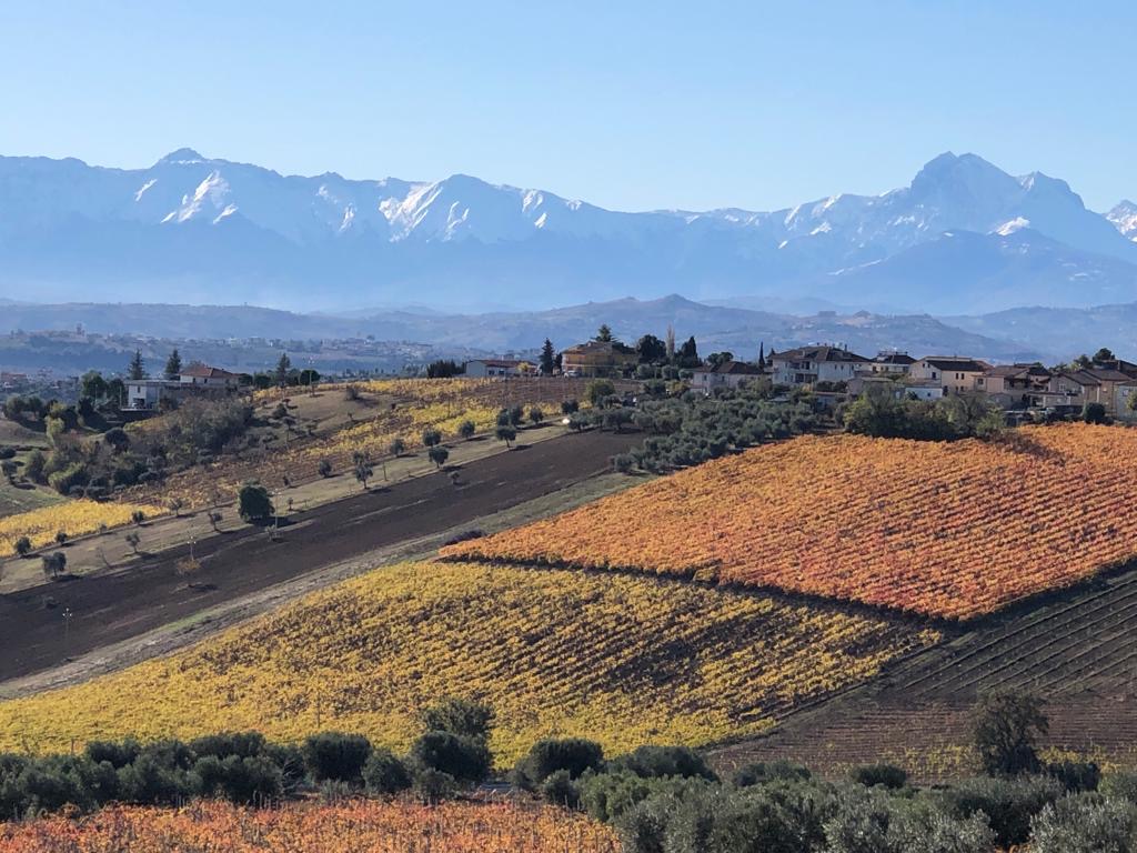 Prima fase del concorso nazionale "Agri-cultura": i risultati