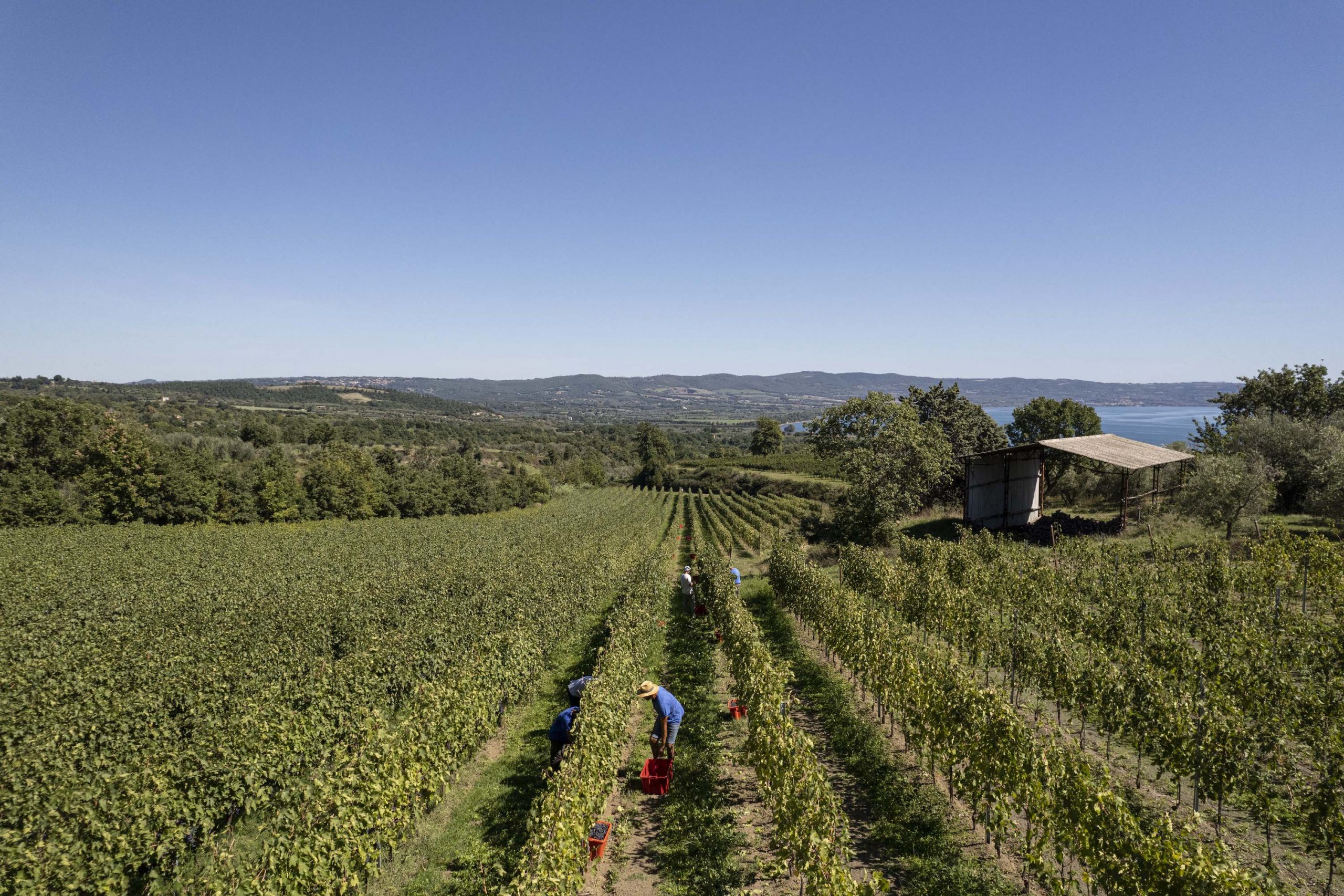 Giornata Nazionale del Paesaggio: il patrimonio rurale