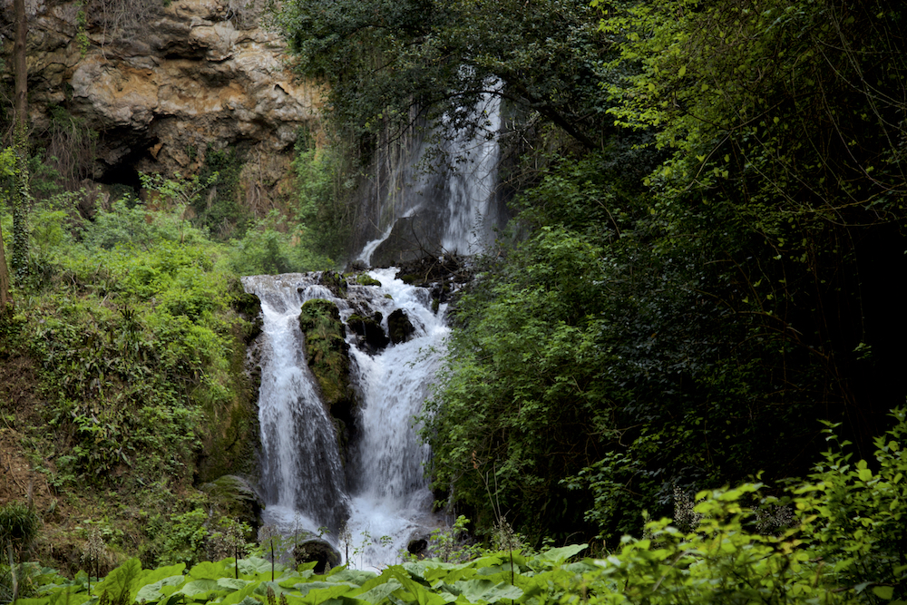 Andrea Rinaldo: «Siccità e inondazioni: l’acqua ci dà l’allarme»