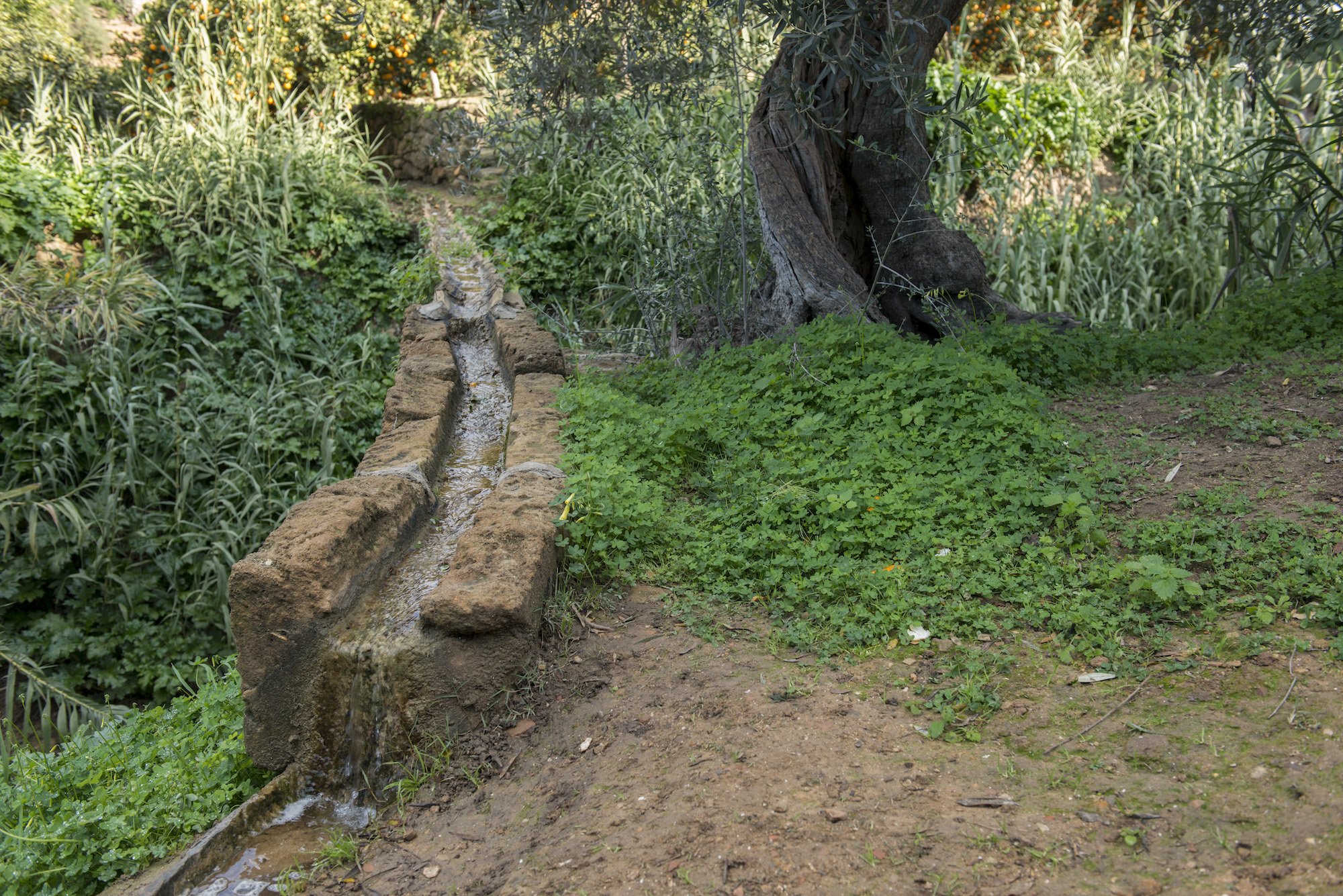 Giornata Mondiale dell’Acqua: una nuova cultura della misura