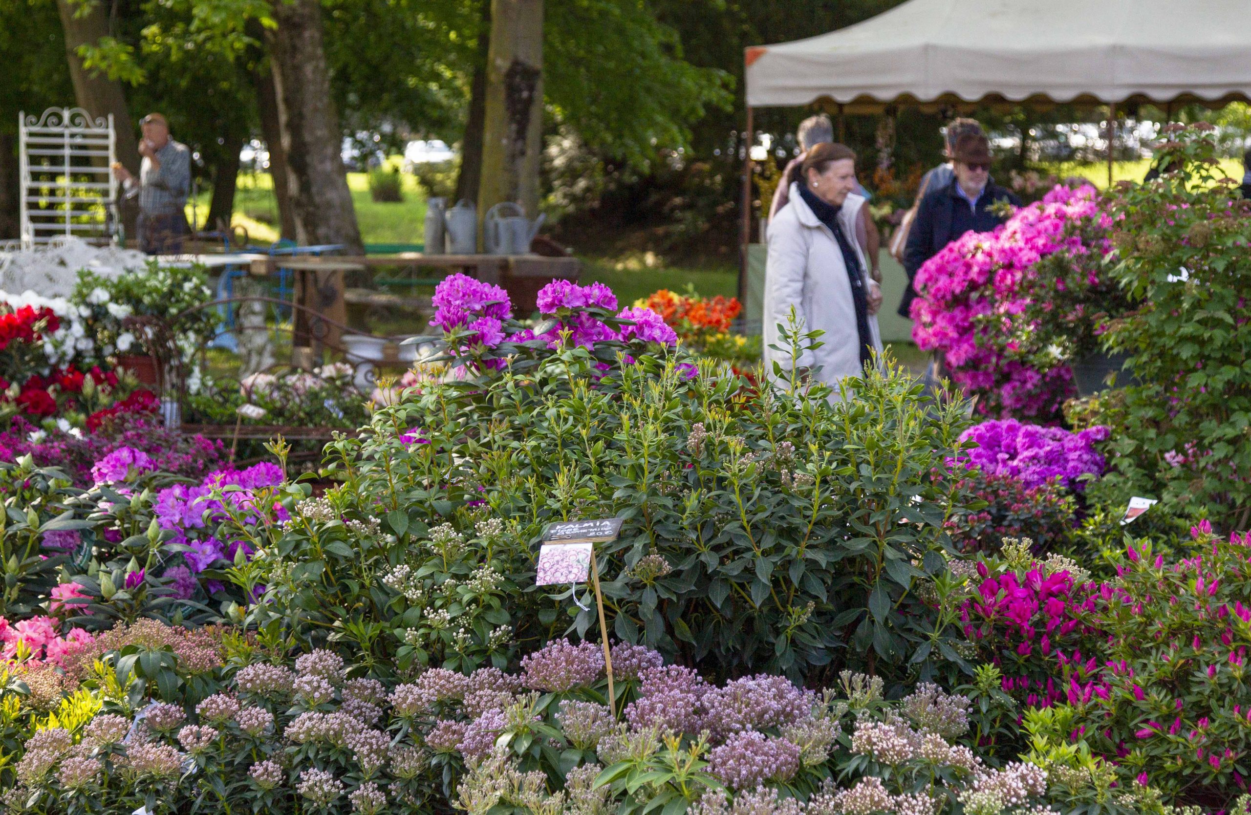 L’edizione primaverile della Tre Giorni 2024: gli espositori