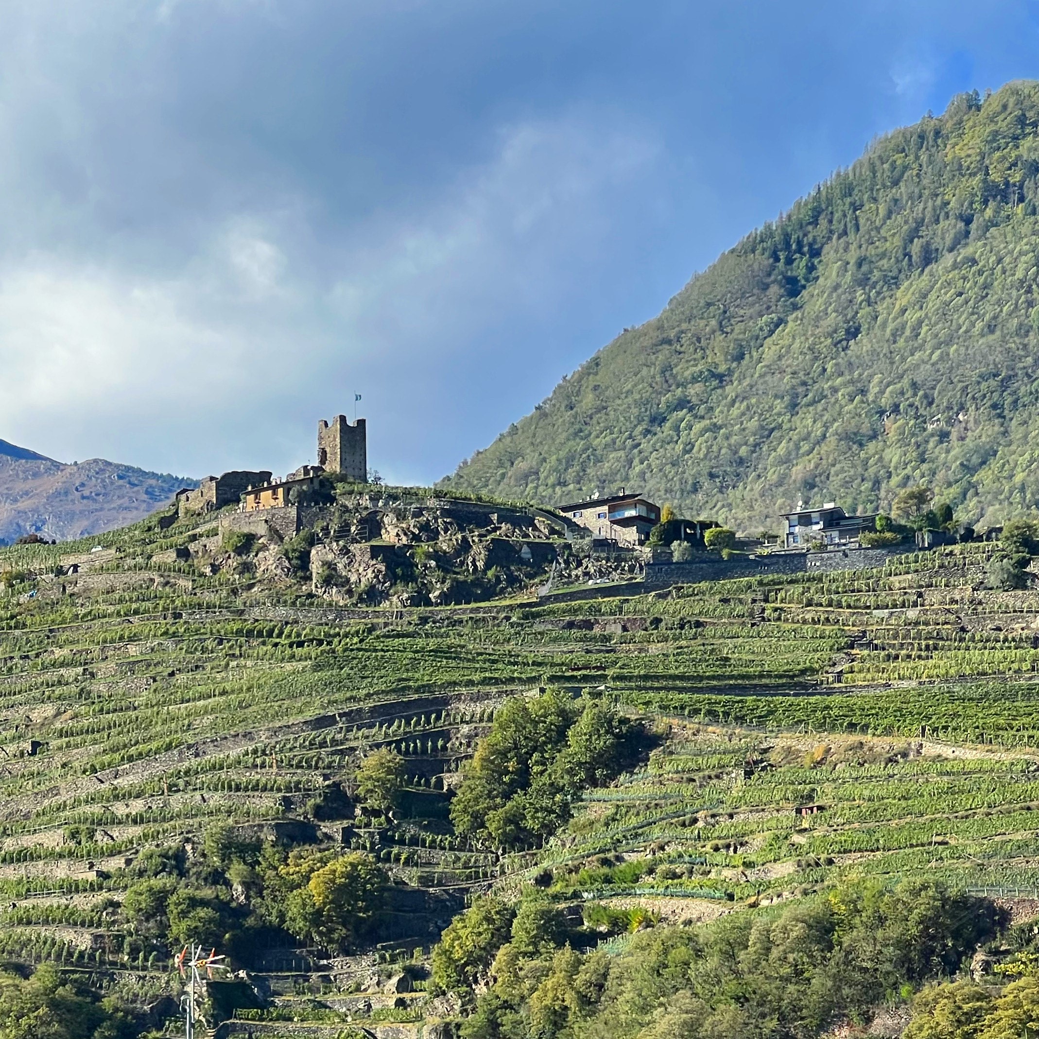 Dalle Alpi al Mediterraneo la Terra che resiste