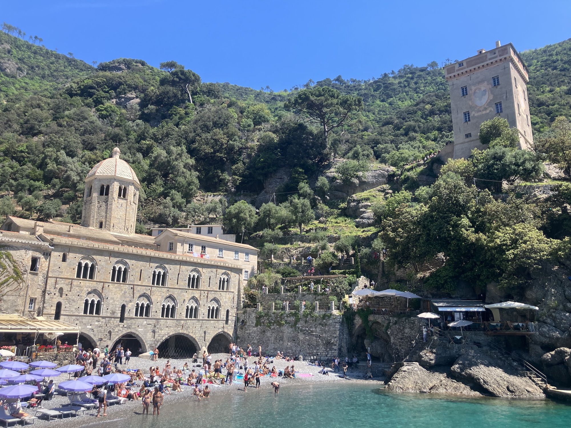 I giardini terrazzati di San Fruttuoso in ricordo di Angelo Maramai