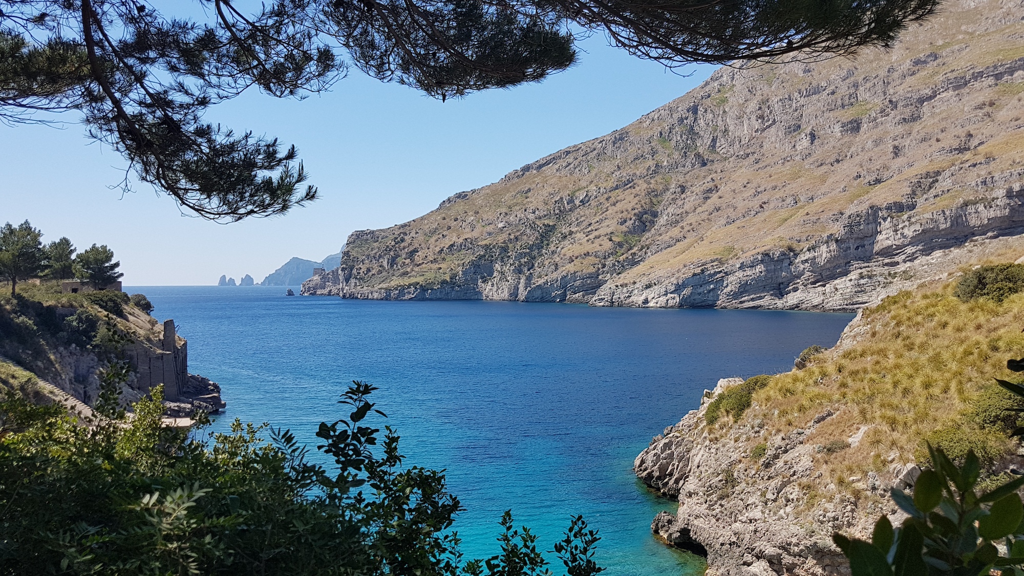 “Pilastri”, la nuova stagione del podcast sui percorsi a regola d’arte