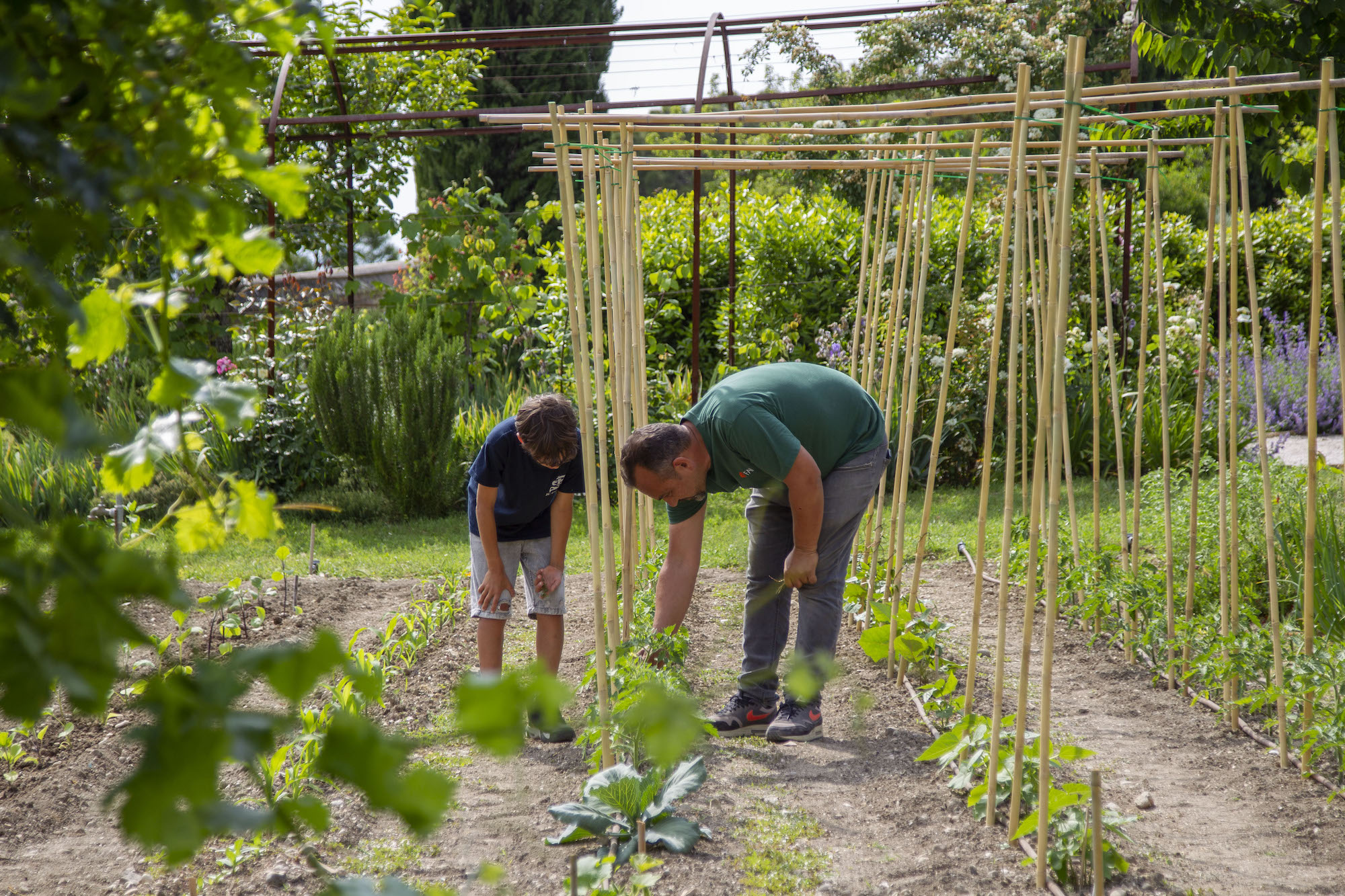 Giornata Mondiale dell’Ambiente: tornare a prendersi cura della terra
