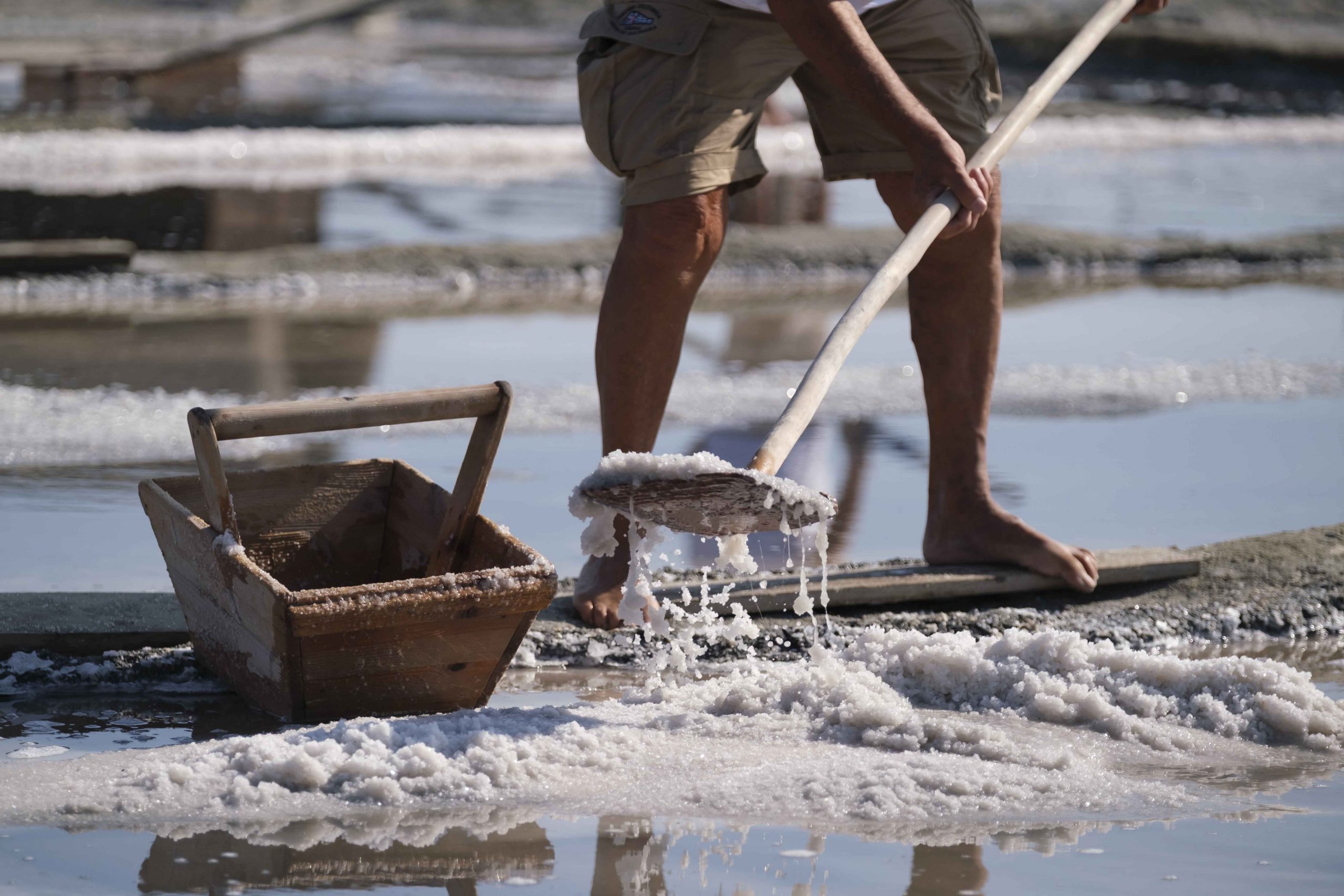 Salinaro per un giorno