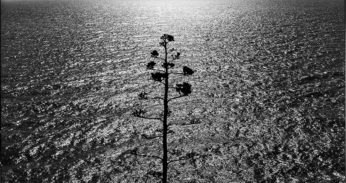La mostra “Ossi di Seppia” all’Abbazia di San Fruttuoso