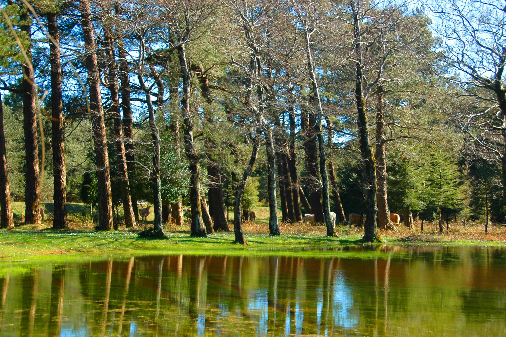 Il Sentiero del Brigante in Calabria