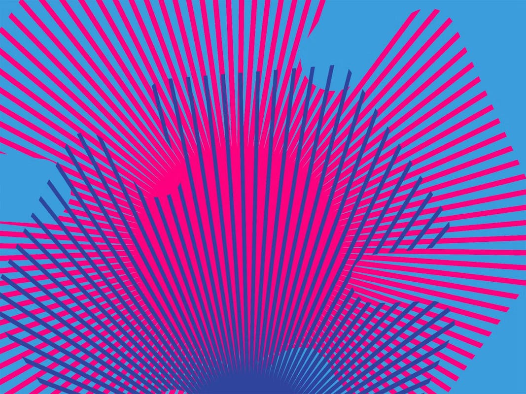 Verso la COP29: visite speciali #FAIperilClima Verso la COP29: visite speciali #FAIperilClima