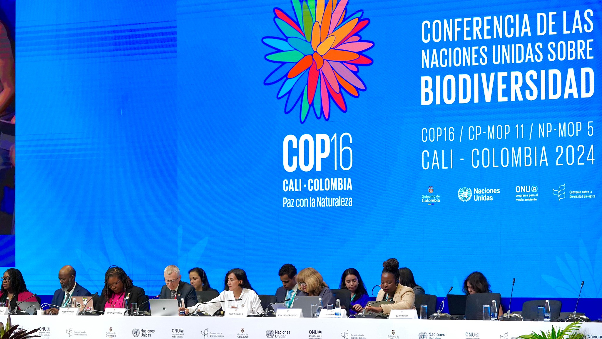 COP16: Un percorso impervio verso la tutela della biodiversità