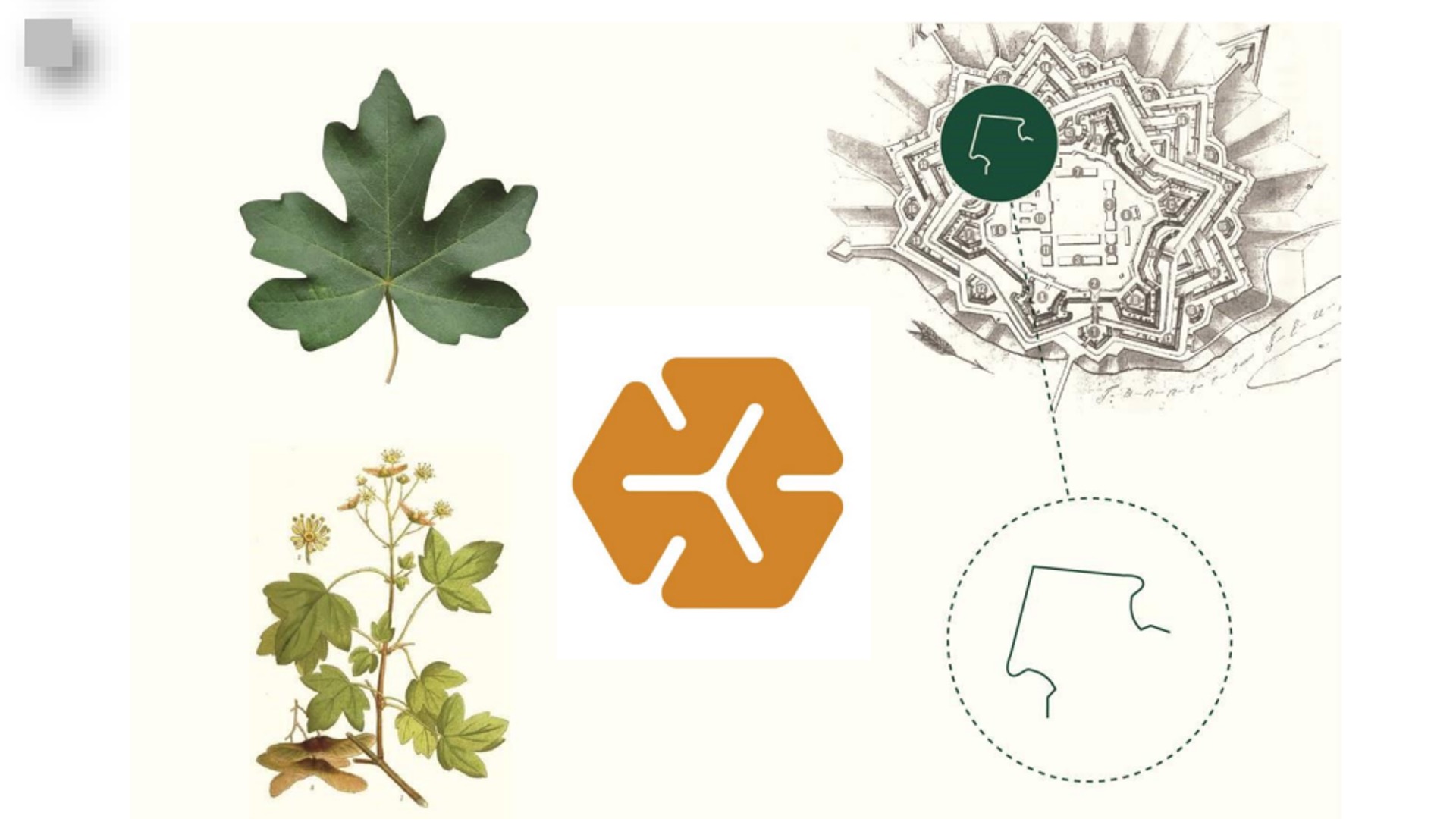 «Un simbolo che è sintesi di arte e natura, cioè dell’ambiente»