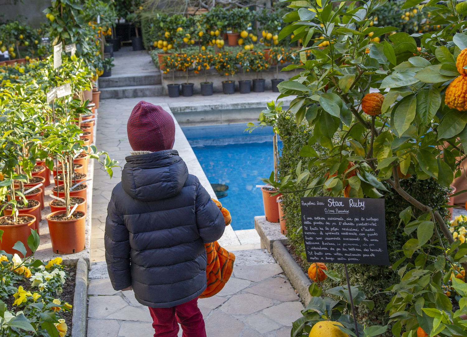 Saperi e sapori dal Mediterraneo a Villa Necchi Campiglio