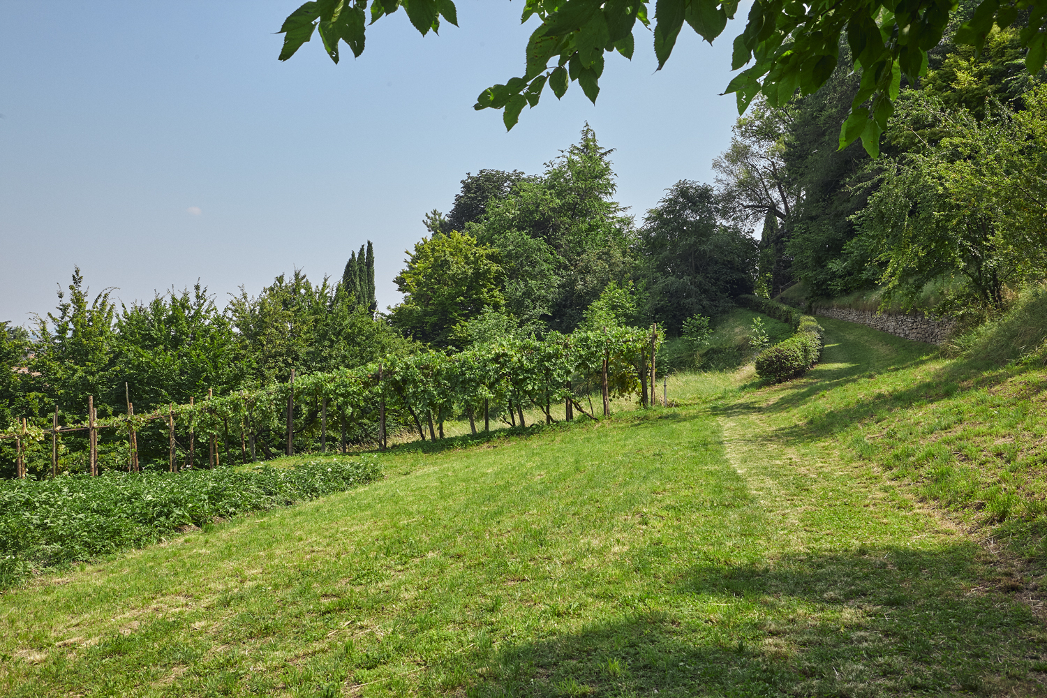 Marco Magnifico: "Denunciare per educare"