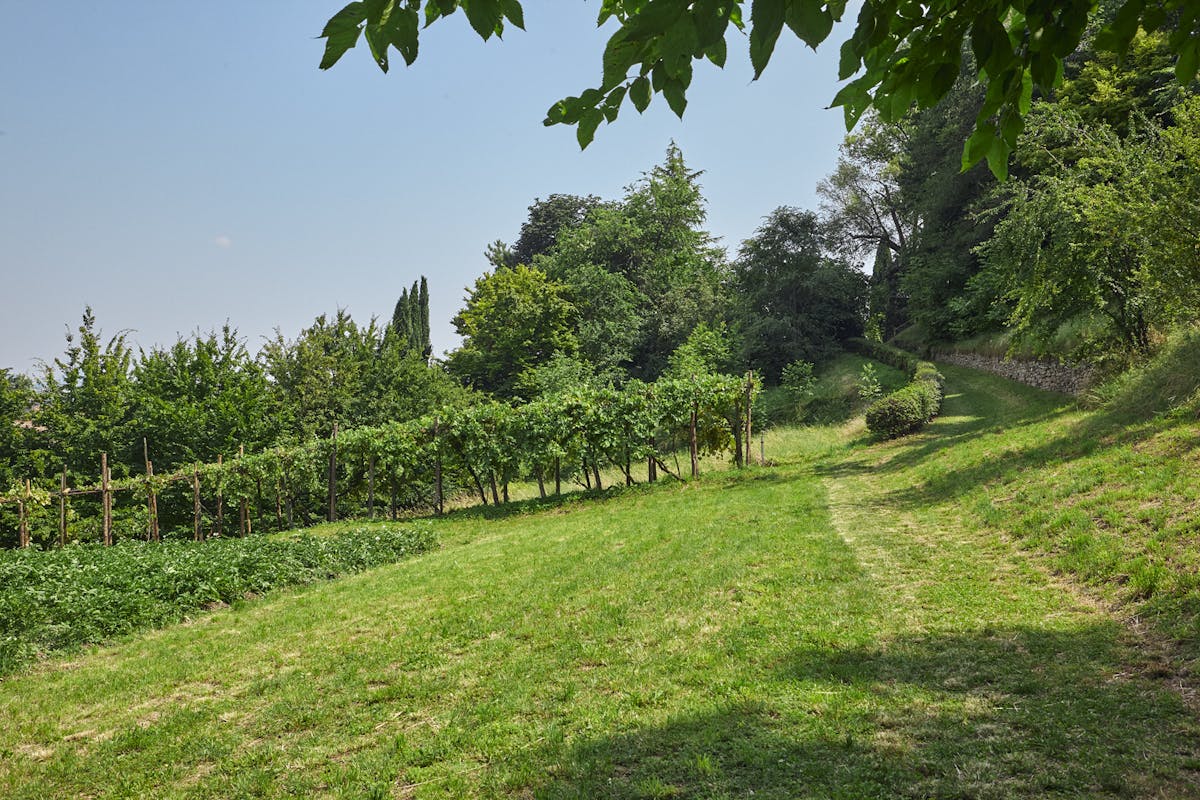 Marco Magnifico: "Denunciare per educare" Marco Magnifico: "Denunciare per educare"