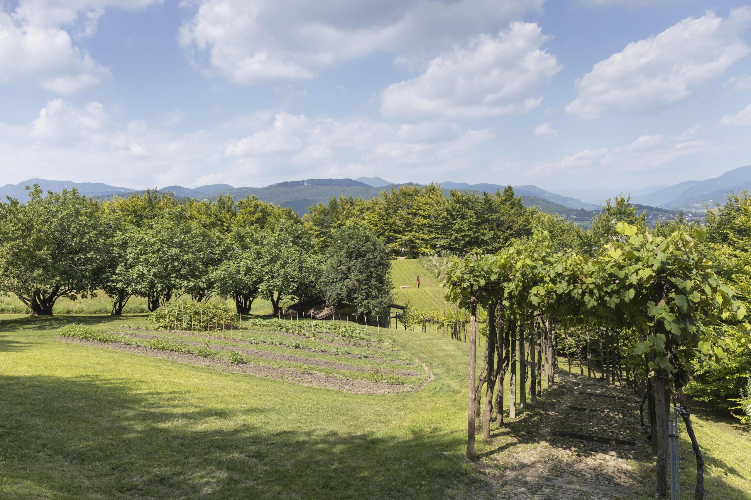Il 5x1000 al FAI è anche per il verde