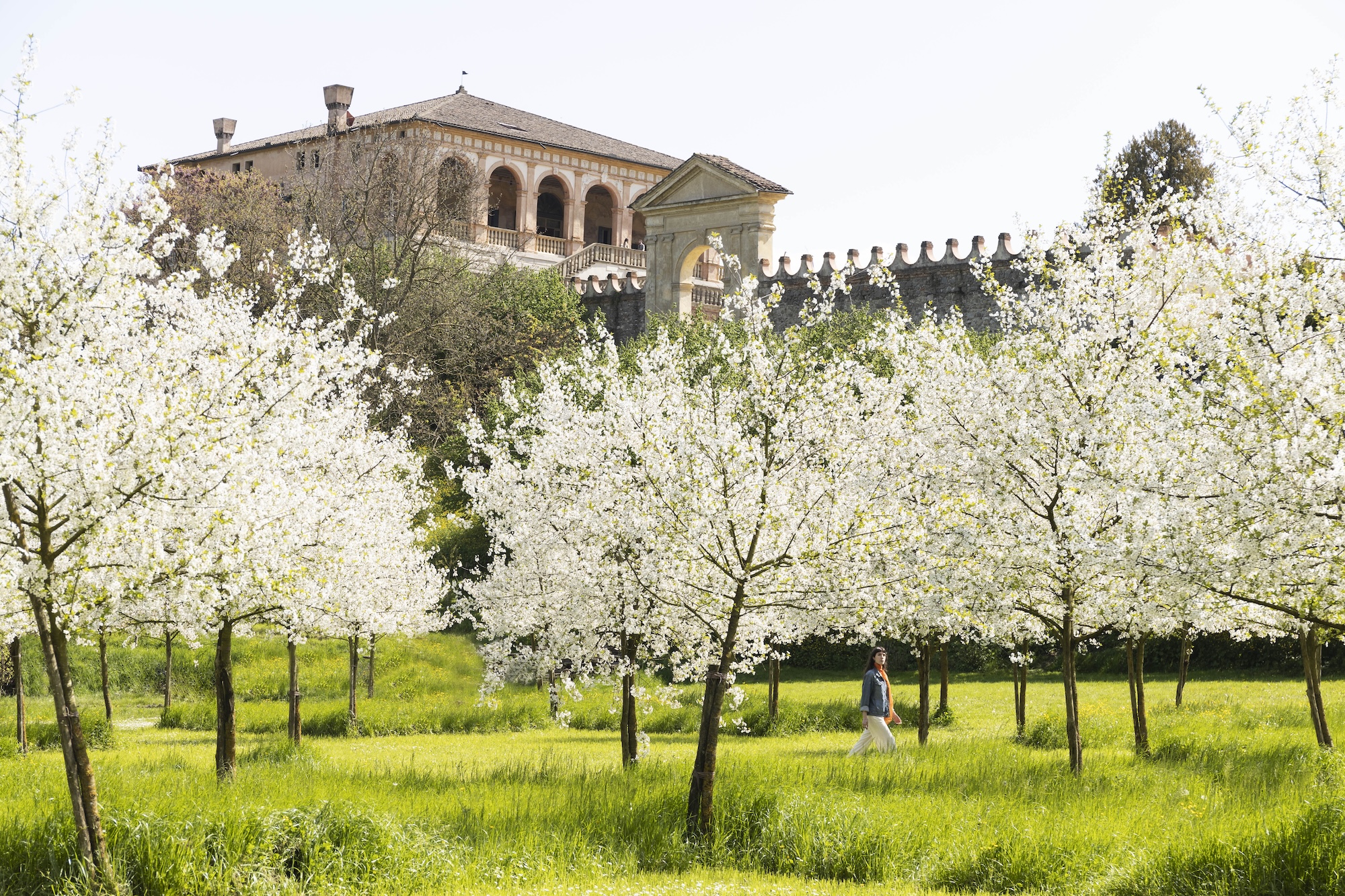 Spring: Experience April at FAI Properties