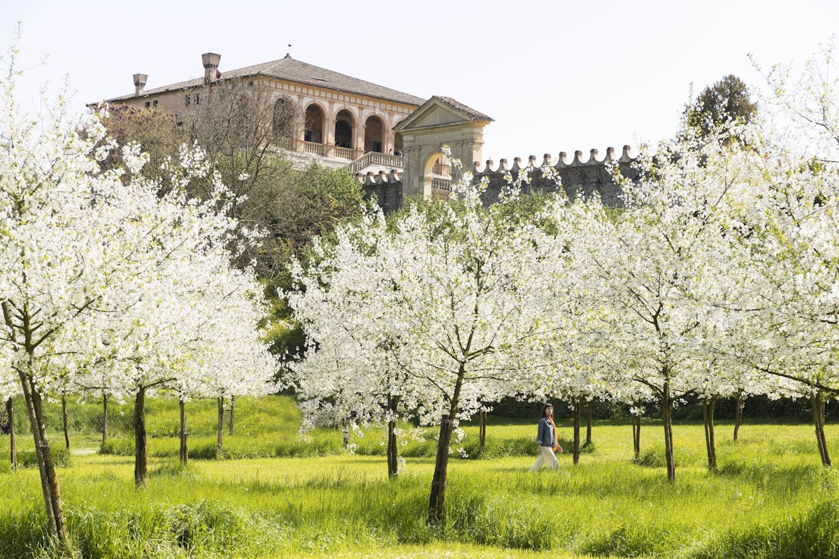 Spring: Experience April at FAI Properties Spring: Experience April at FAI Properties