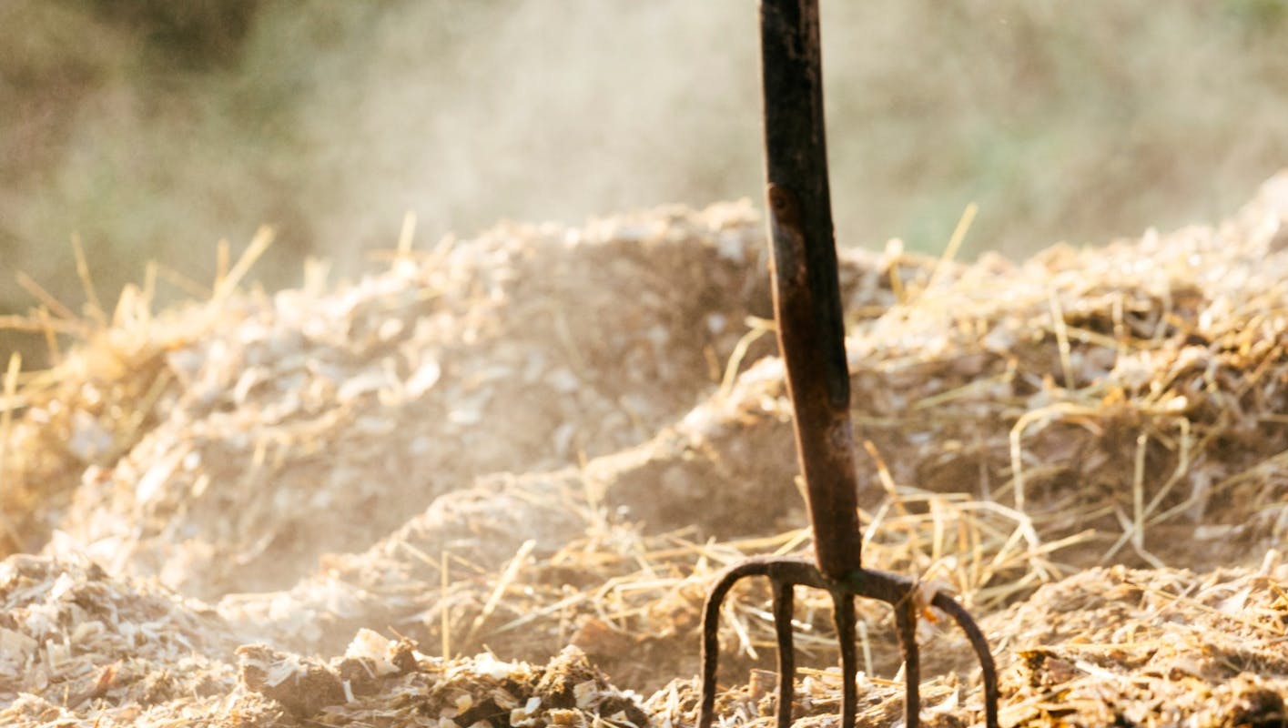 1525: La rivolta contadina. Luoghi, tracce, memorie 1525: La rivolta contadina. Luoghi, tracce, memorie