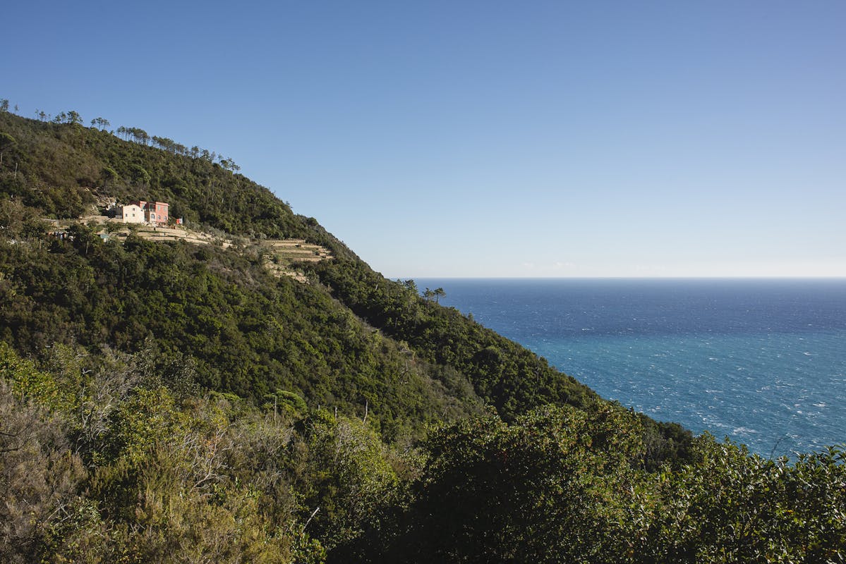 Podere Lovara, un presidio di educazione ambientale Podere Lovara, un presidio di educazione ambientale
