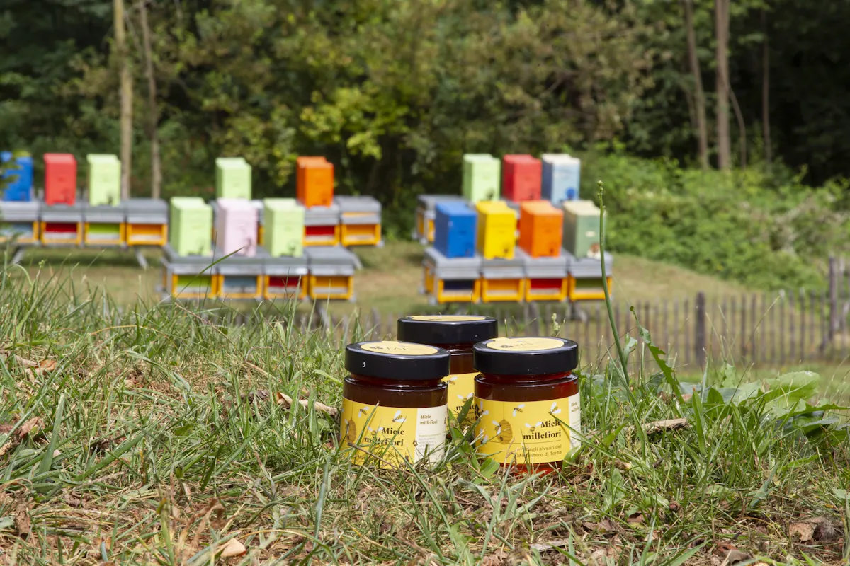 Il miele del FAI: un dono della natura che protegge la biodiversità Il miele del FAI: un dono della natura che protegge la biodiversità
