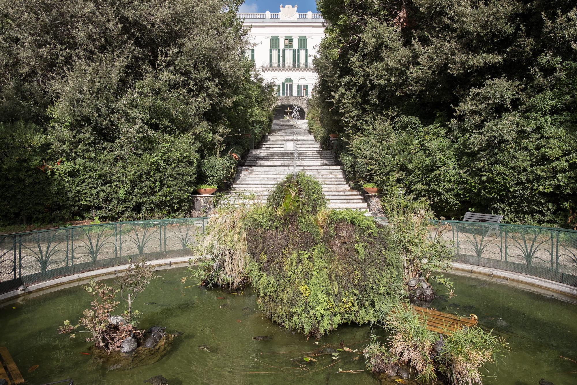 Alla scoperta del patrimonio botanico della Floridiana