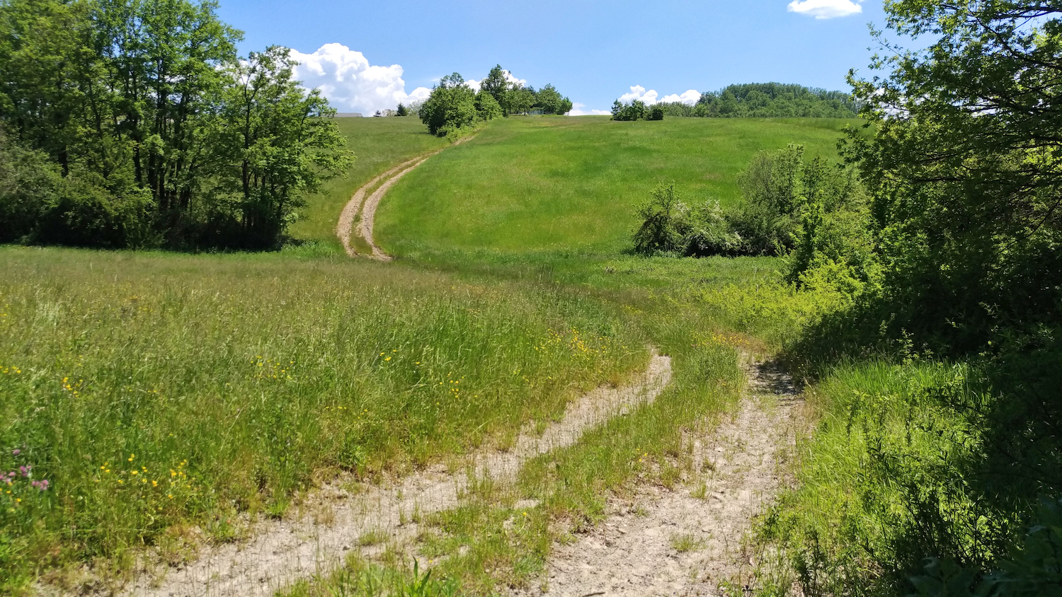 Buone Notizie: la Via Vandelli è ufficialmente un Cammino
