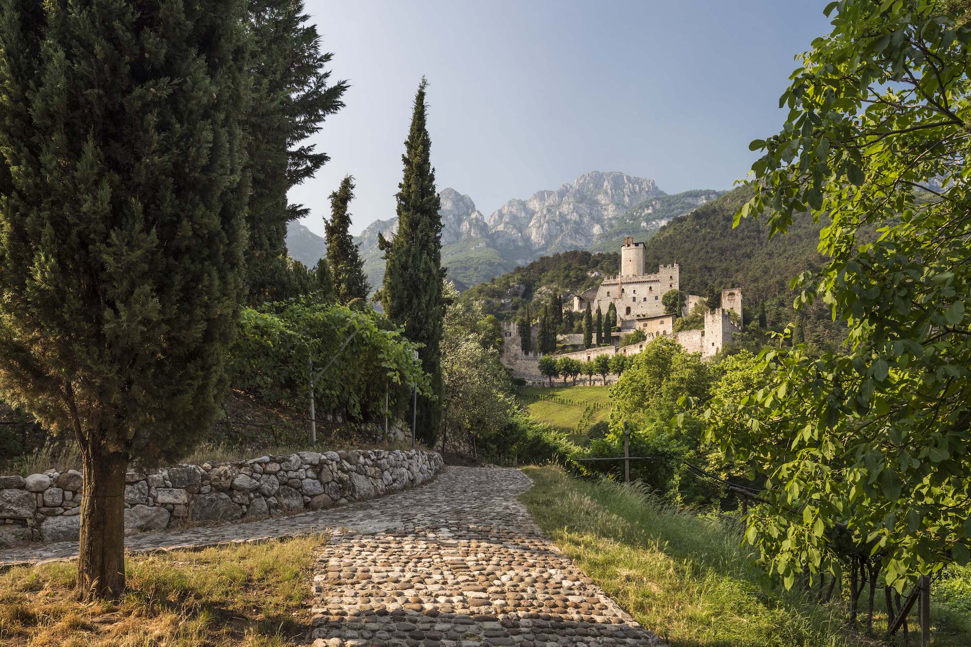 Le Delegazioni e i Gruppi FAI per il Castello di Avio