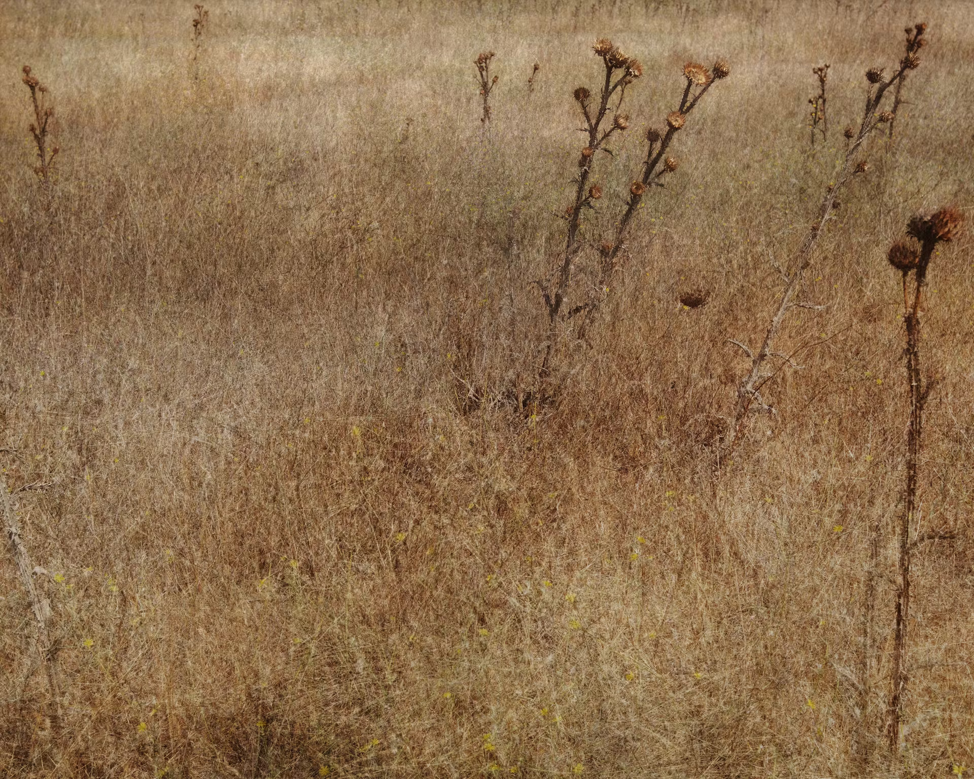 Alle Saline Conti Vecchi la mostra fotografica “Il sospiro della natura”