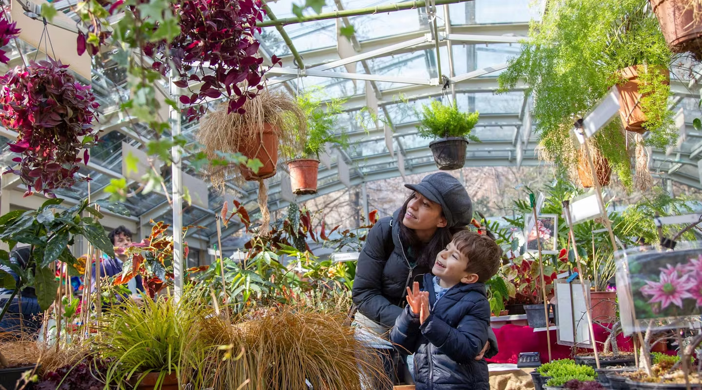 Colori d’Autunno: ti aspettiamo l’8 e il 9 novembre a Villa Necchi Campiglio