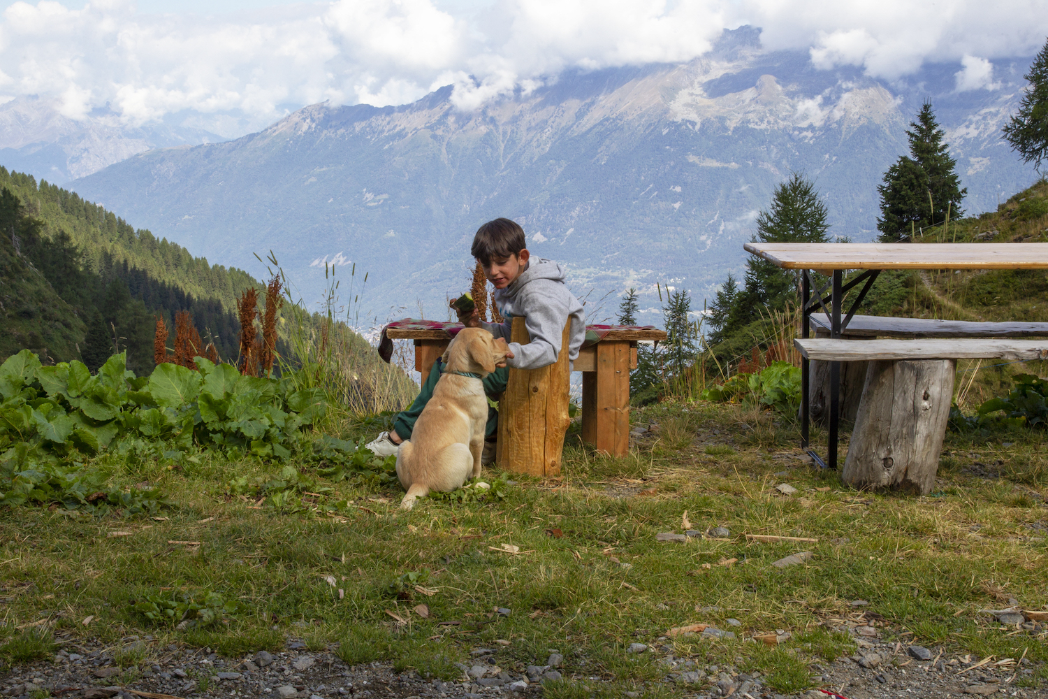 La montagna che rinasce: paesaggi, comunità e futuro