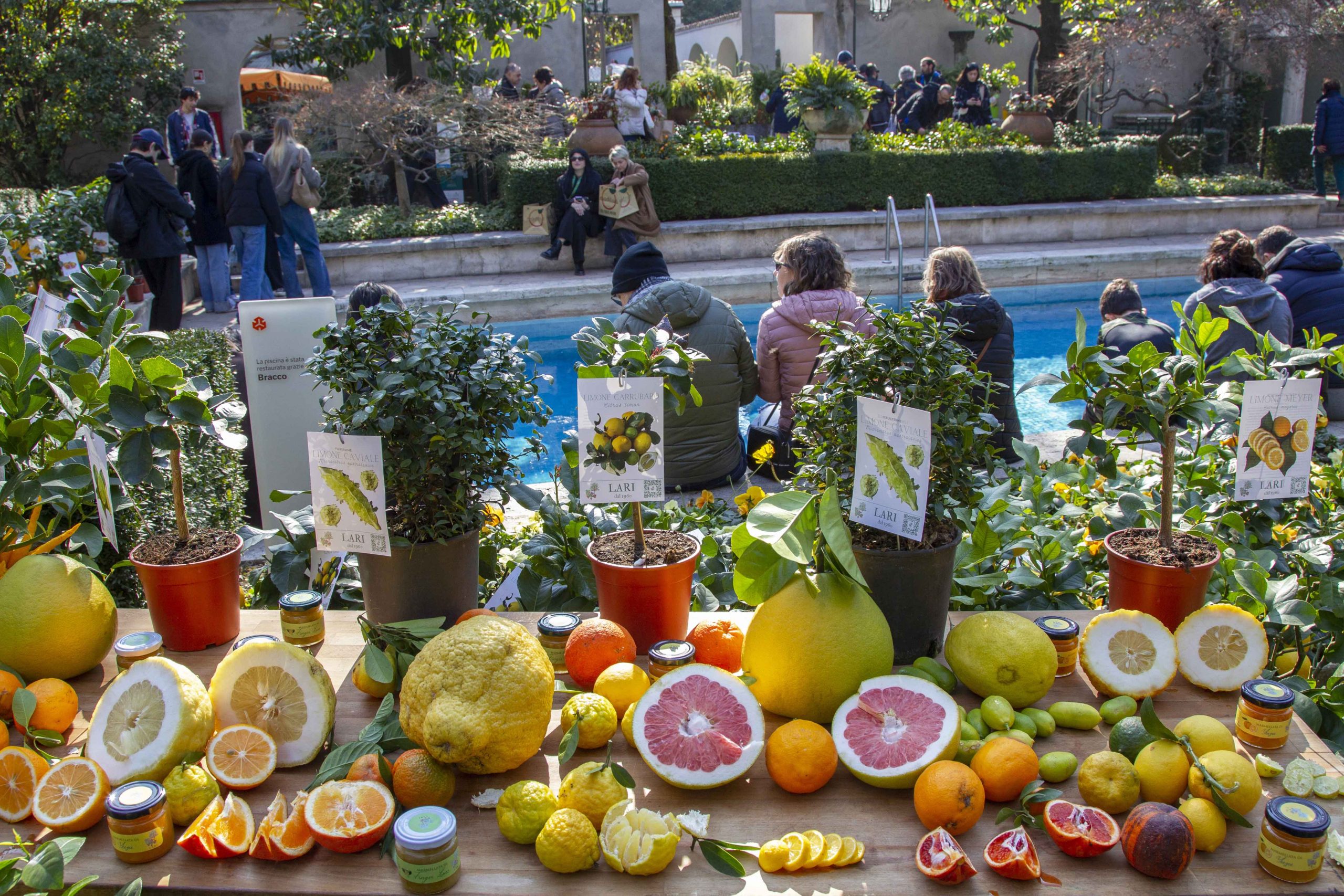 A gennaio torna “Agrumi. Saperi e sapori dal Mediterraneo”