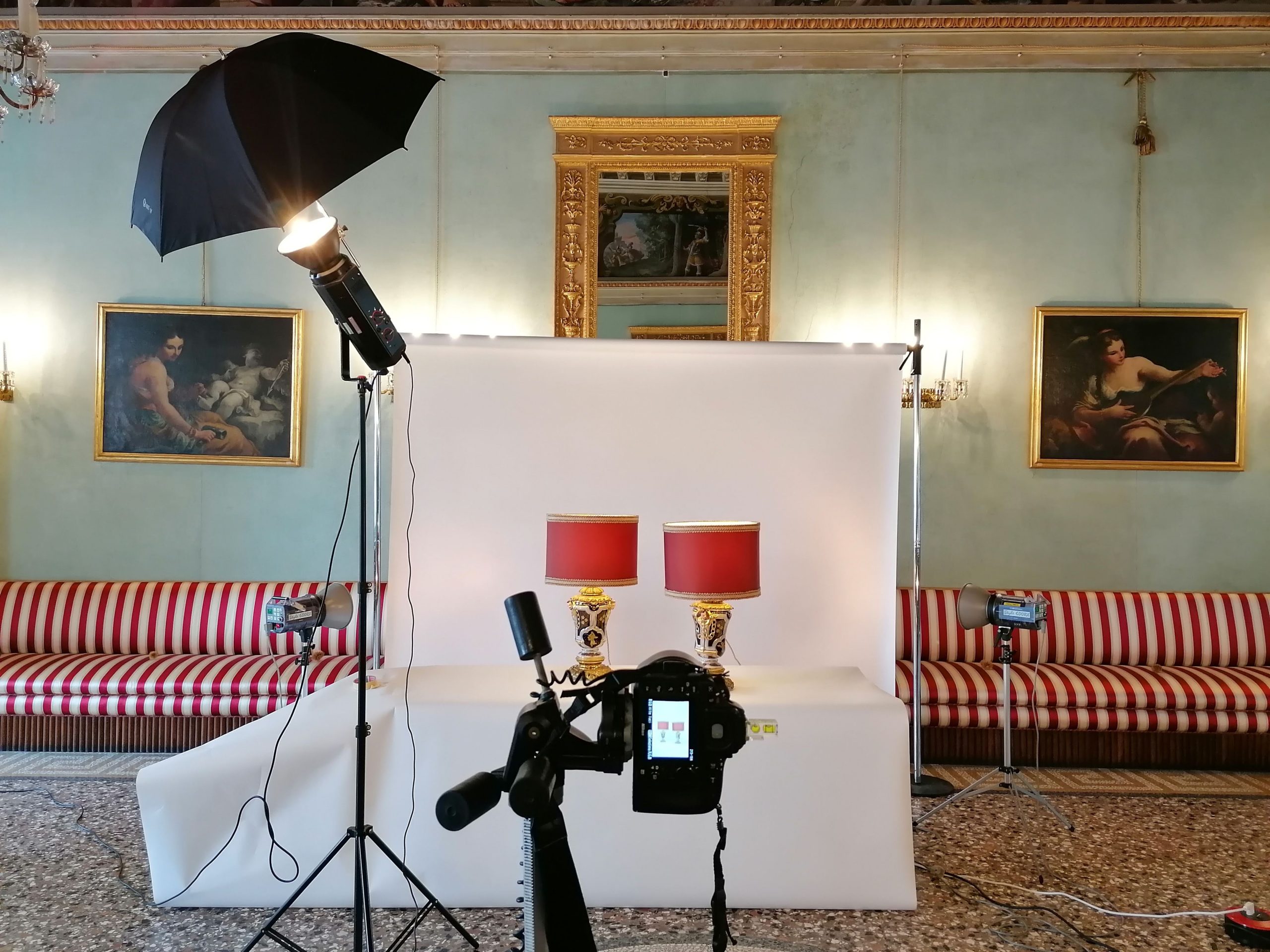 La catalogazione del patrimonio storico, artistico e botanico di Palazzo Moroni