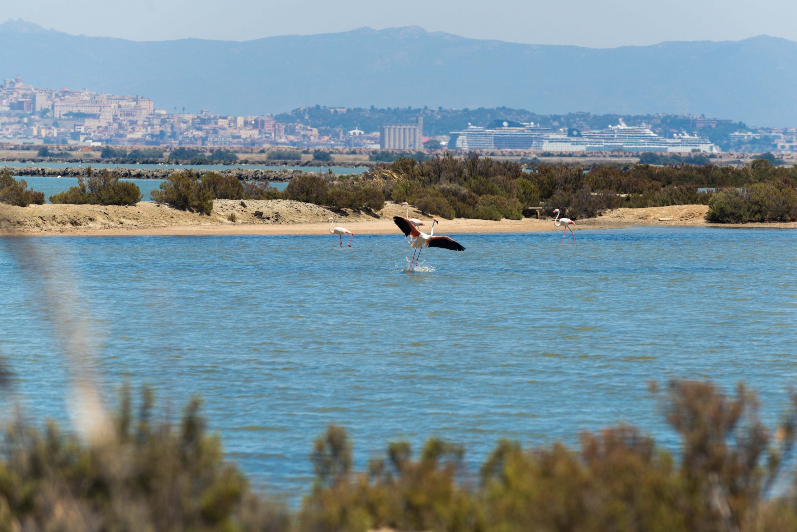 Conoscenze tradizionali e zone umide: un equilibrio storico
