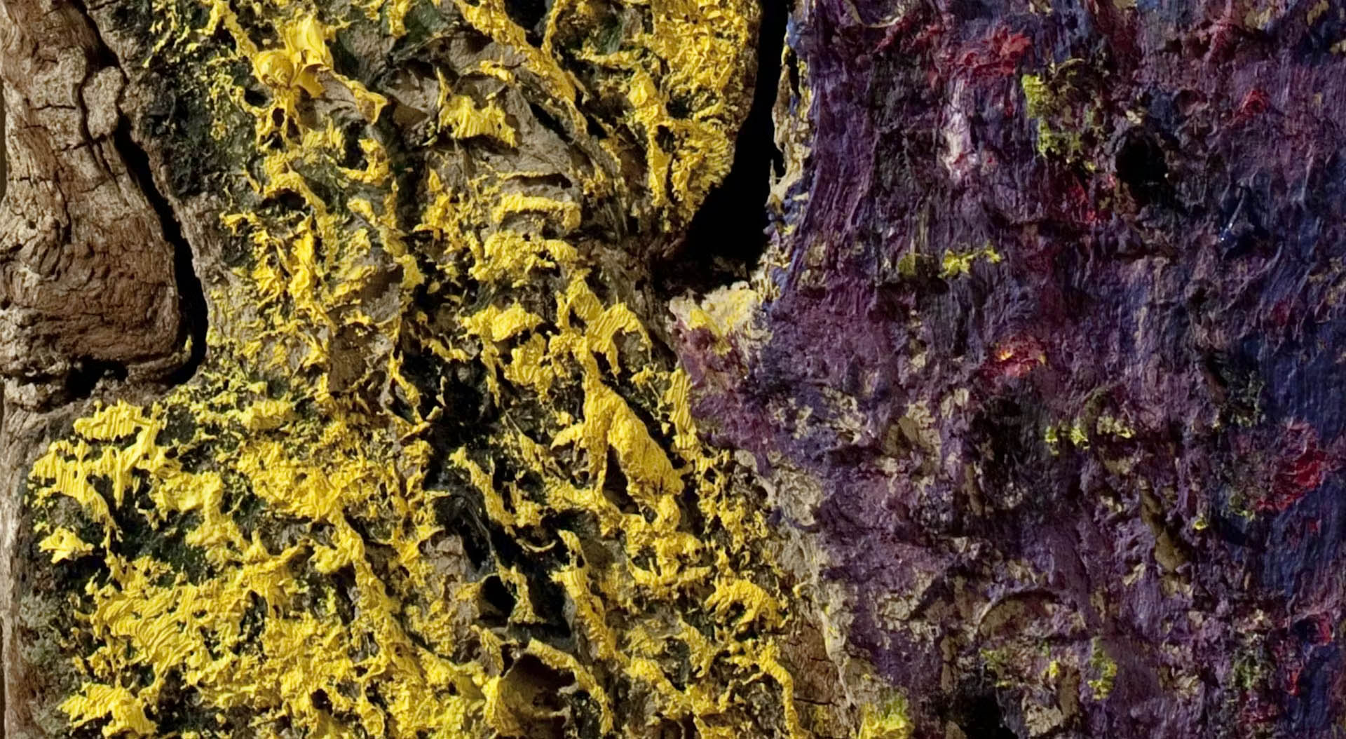 "Carlo Mattioli. Textures" al Negozio Olivetti a Venezia