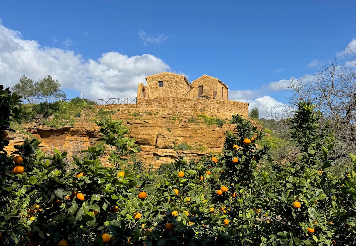 La prima edizione de “Il mercato del Giardino” nella Valle dei Templi La prima edizione de “Il mercato del Giardino” nella Valle dei Templi