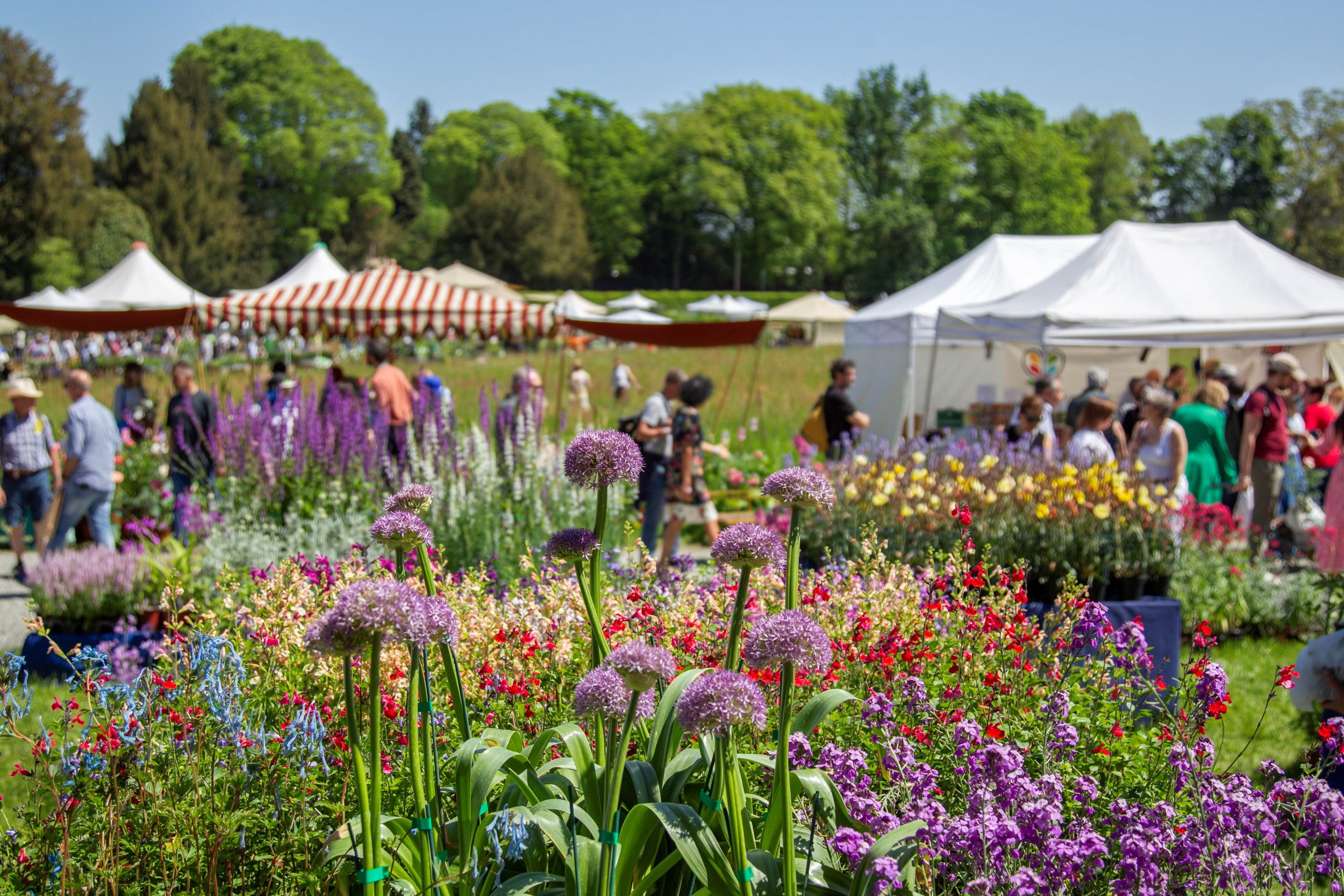 La Tre Giorni per il Giardino 2026 nel segno delle "Radici"