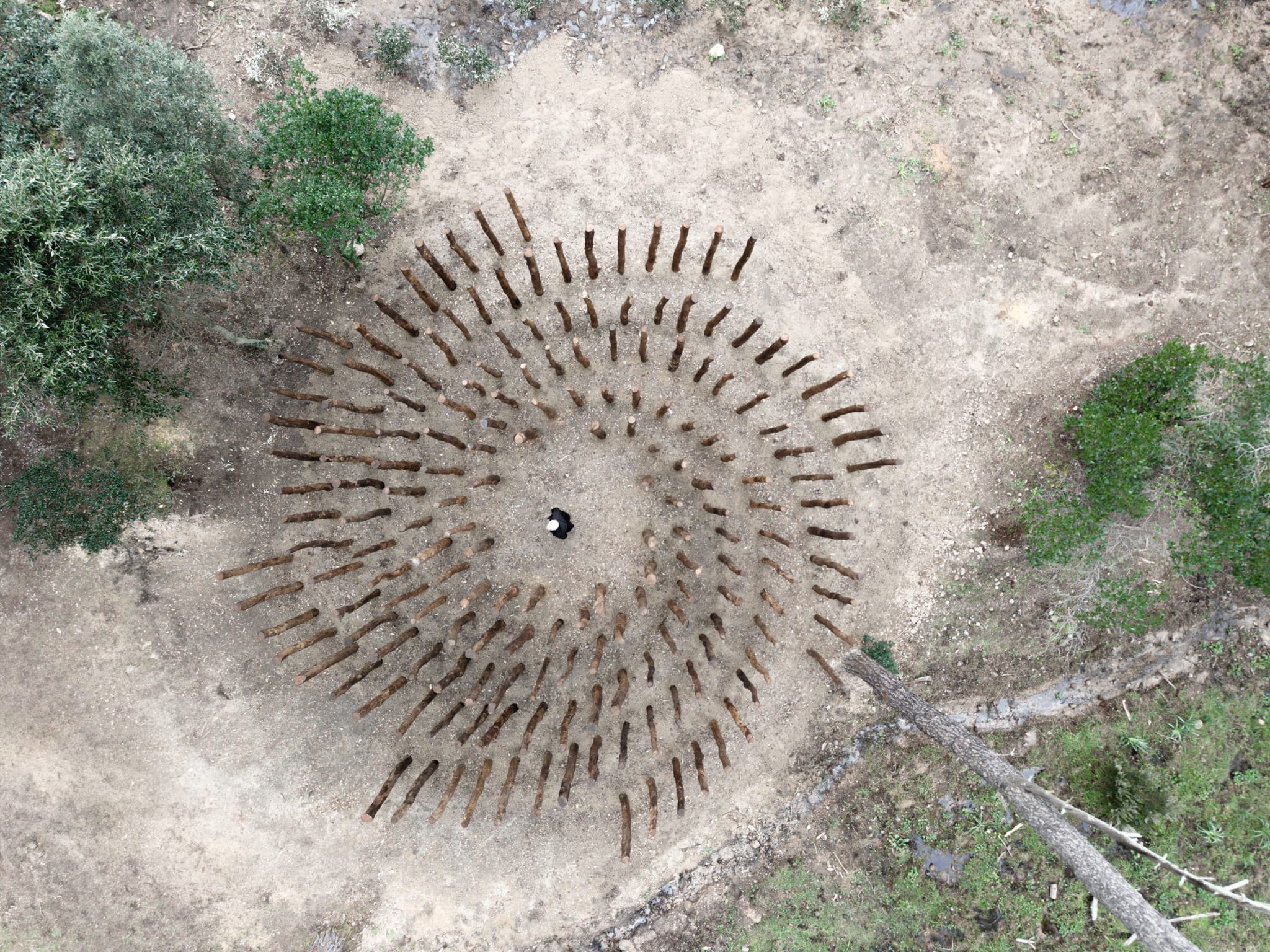 Due nuove opere permanenti nel Bosco di Curadureddu