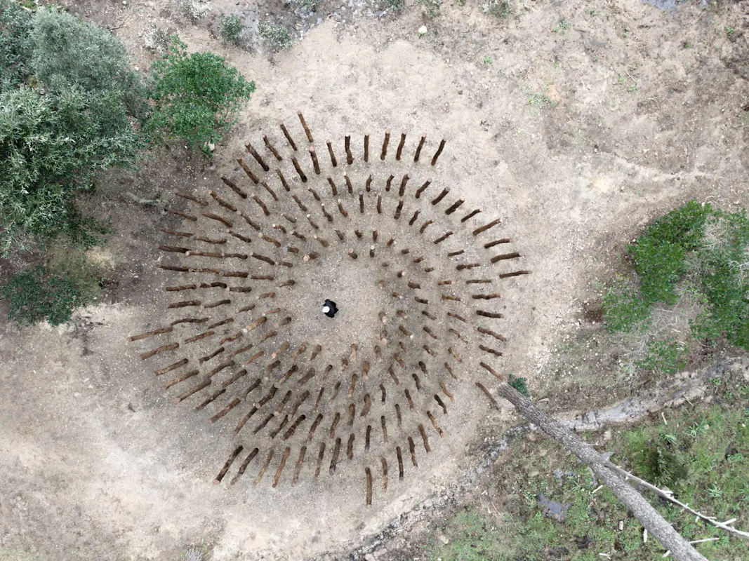 Due nuove opere permanenti nel Bosco di Curadureddu Due nuove opere permanenti nel Bosco di Curadureddu