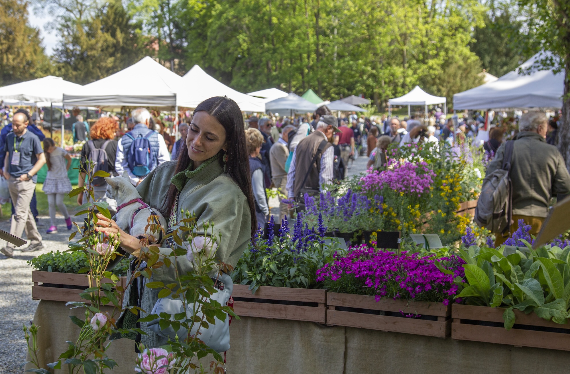 È primavera! Gli appuntamenti da non perdere nei Beni FAI
