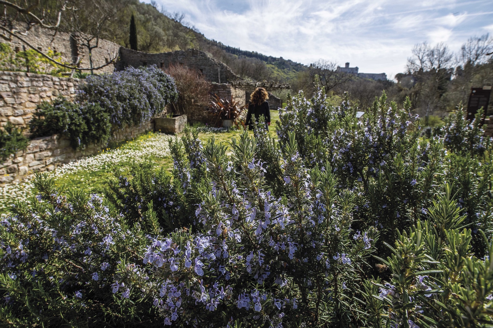 “Herbatica. Storie di erbe e boschi” al Bosco di San Francesco