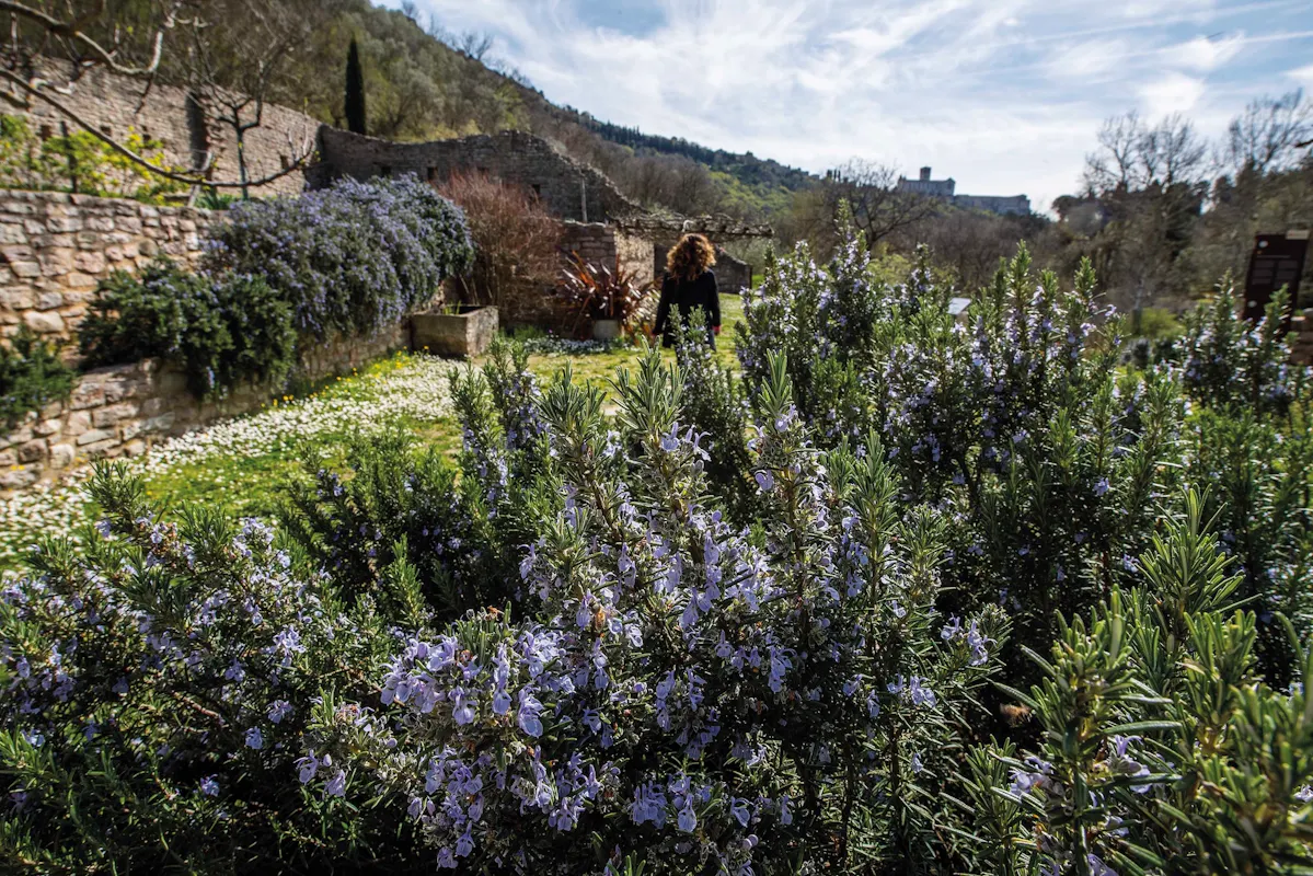 “Herbatica. Storie di erbe e boschi” al Bosco di San Francesco “Herbatica. Storie di erbe e boschi” al Bosco di San Francesco