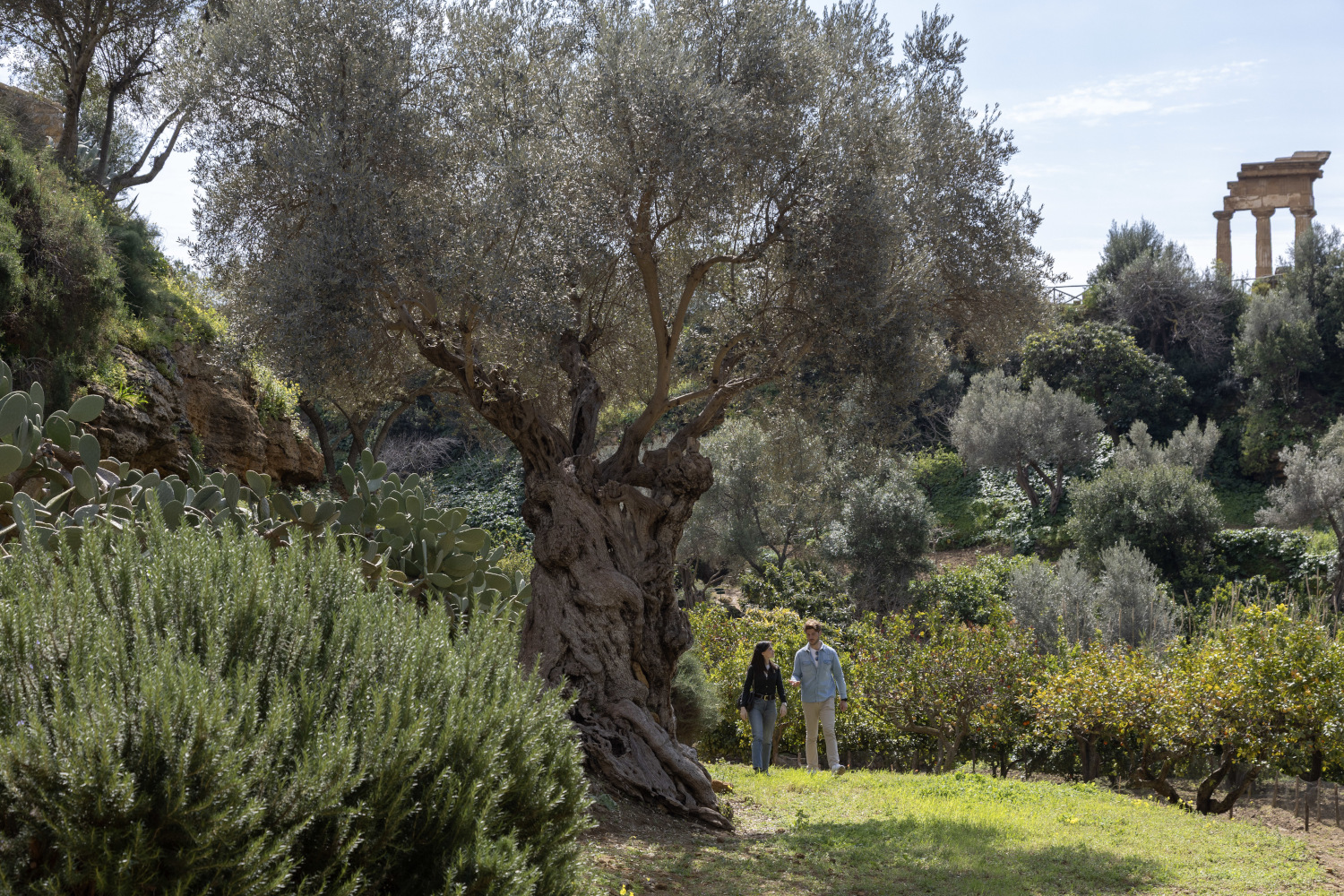 Il 23 e il 24 maggio tornano le “Camminate nella biodiversità”