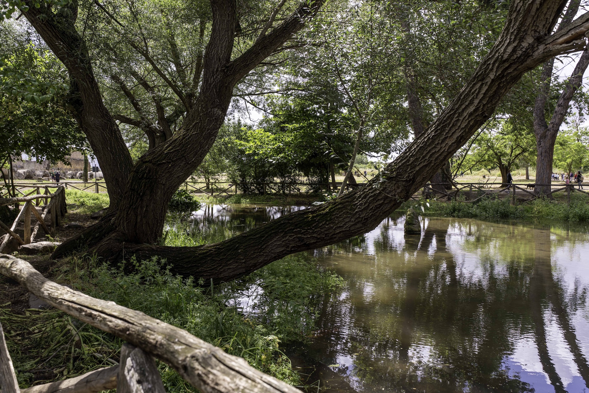 Parco degli Acquedotti: conoscere e vivere un luogo, avendone cura