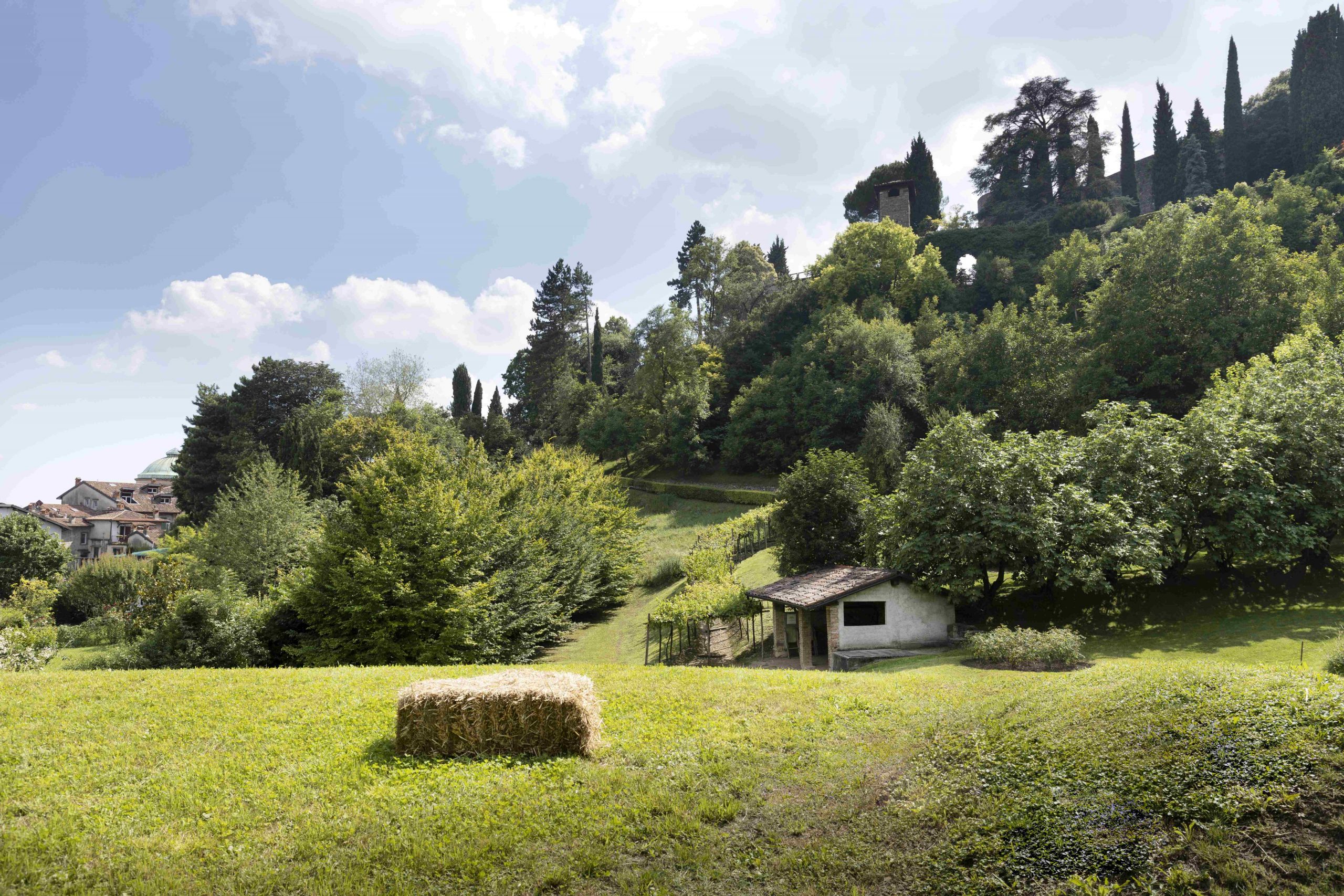 “Natura tra le mura” a Palazzo Moroni